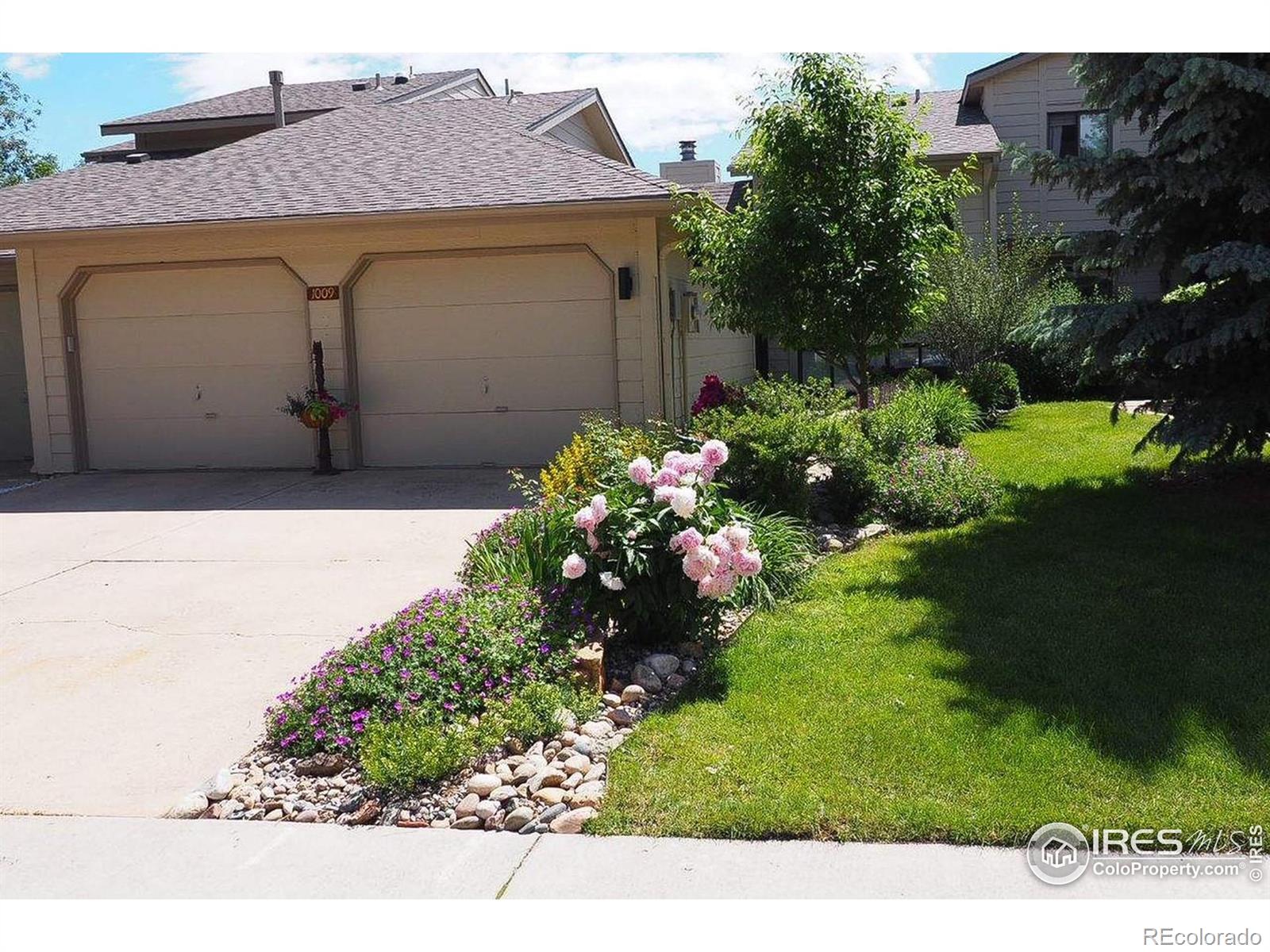 fort collins  House Search Picture