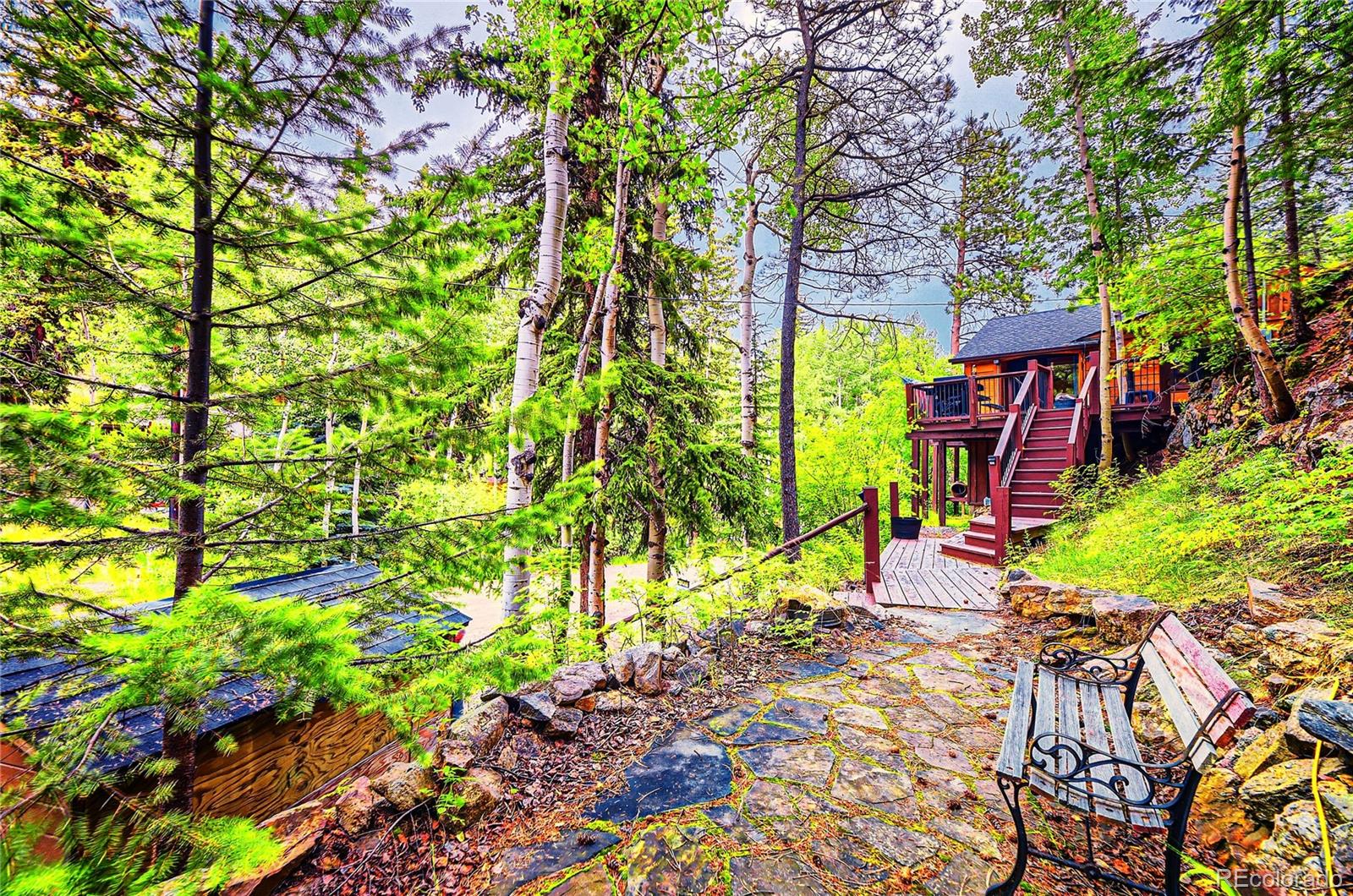 1211  BEAVER BROOK CANYON RD , evergreen  House Search MLS Picture