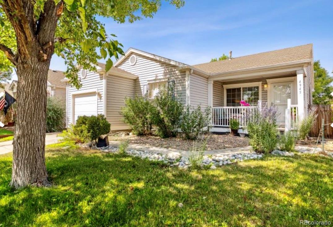 denver  House Search Picture