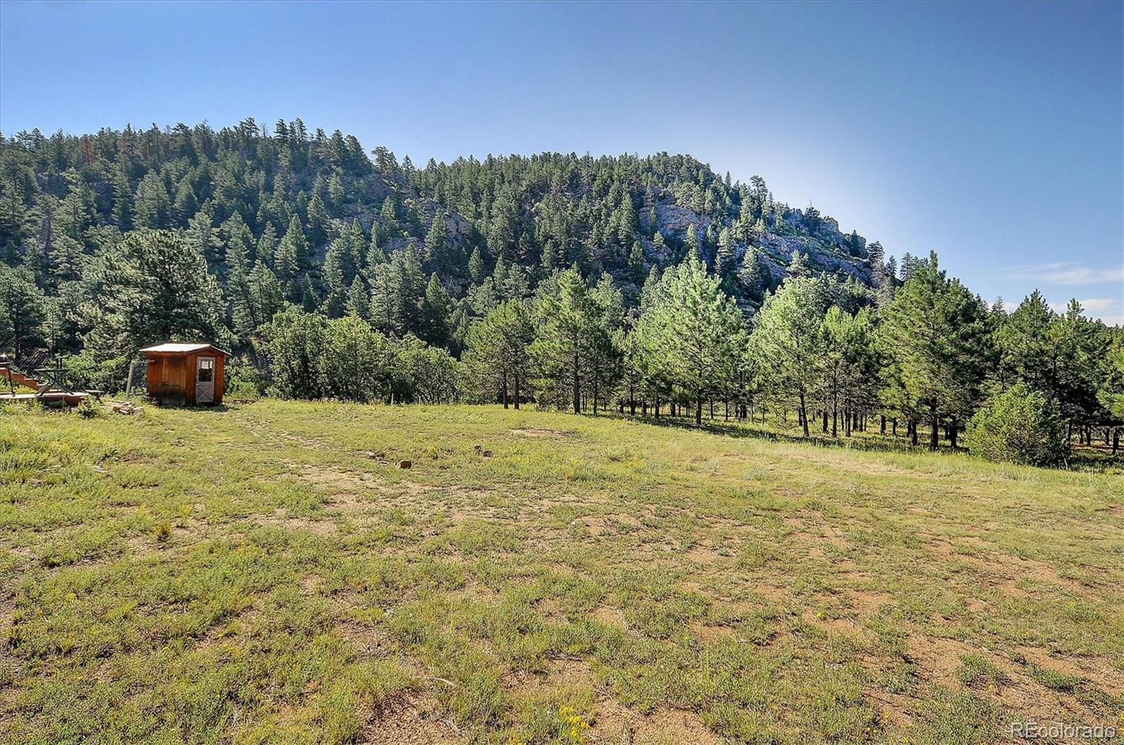 1111  Red Feather Road, cotopaxi  House Search MLS Picture