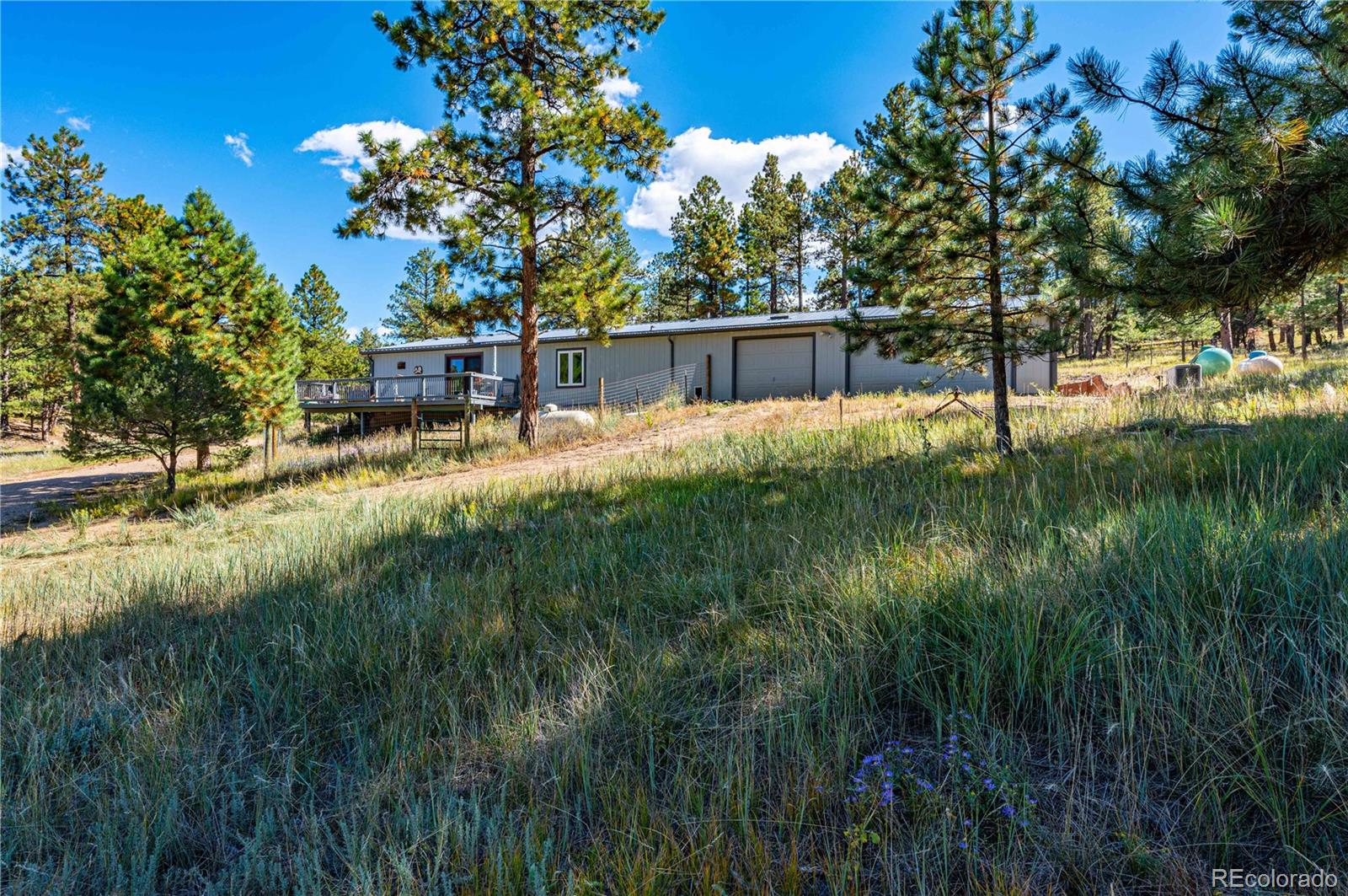 7532  County Road 255 , westcliffe  House Search MLS Picture