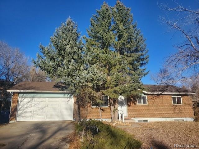 colorado springs  House Search Picture