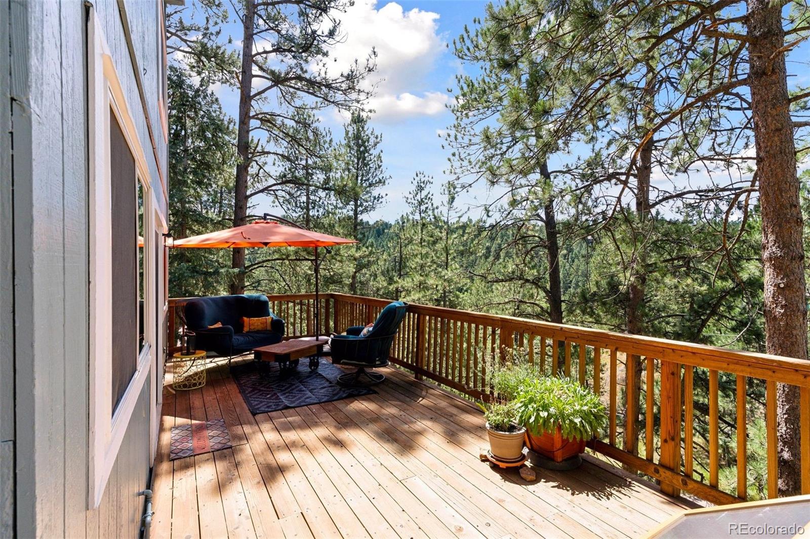 27546  Mountain Park Road, evergreen  House Search MLS Picture