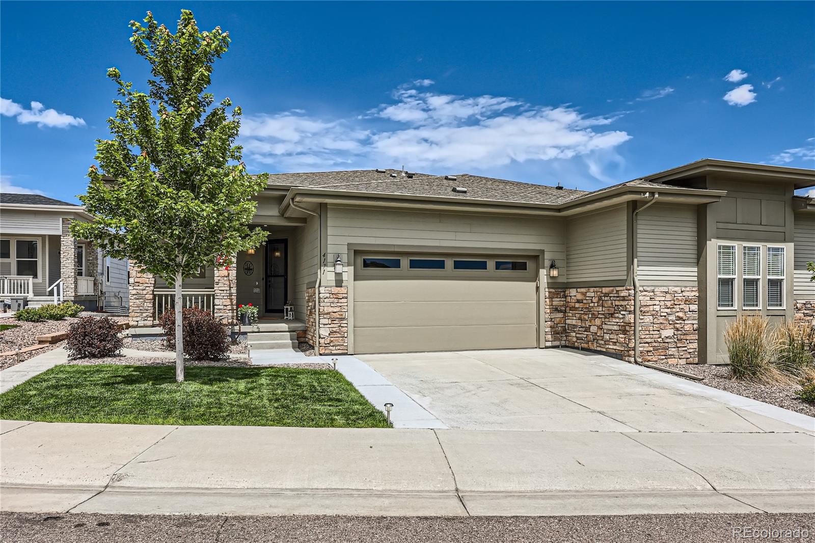 4171  Happy Hollow Drive, castle rock Rent To Own Search Picture