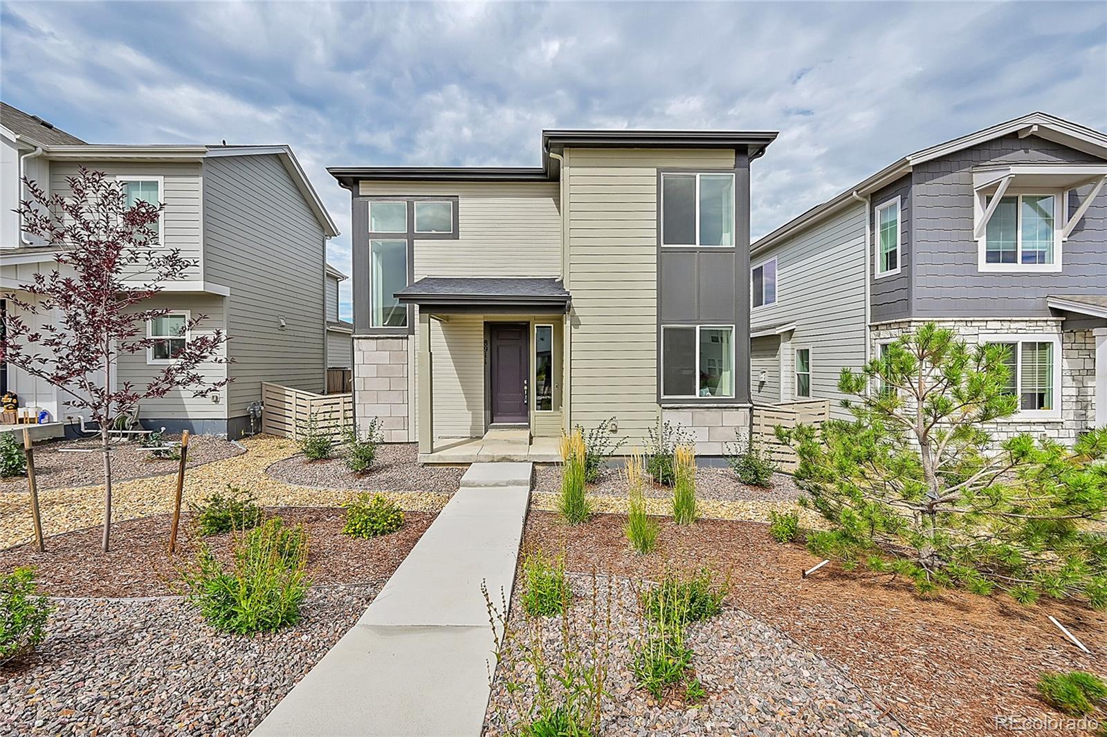 8911  Eagle River Street, littleton  House Search MLS Picture