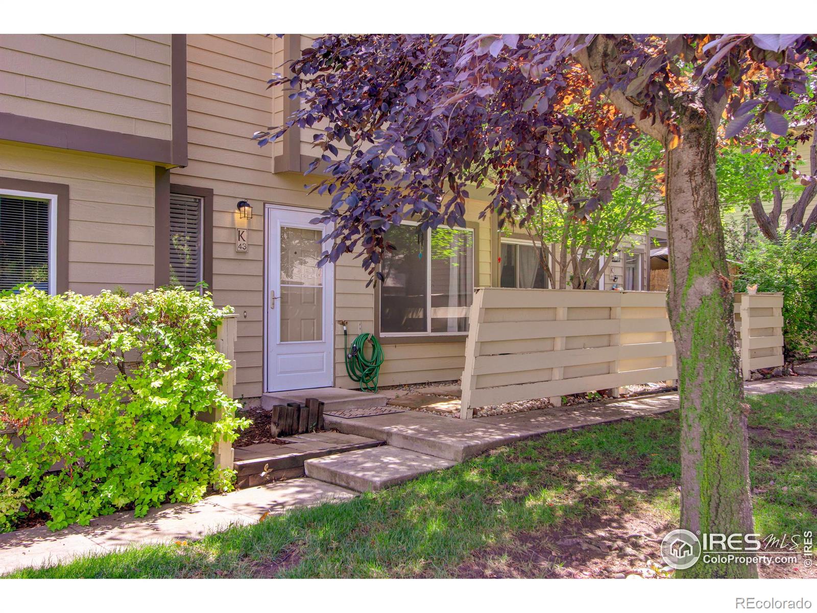 3465  Lochwood Drive, fort collins  House Search MLS Picture