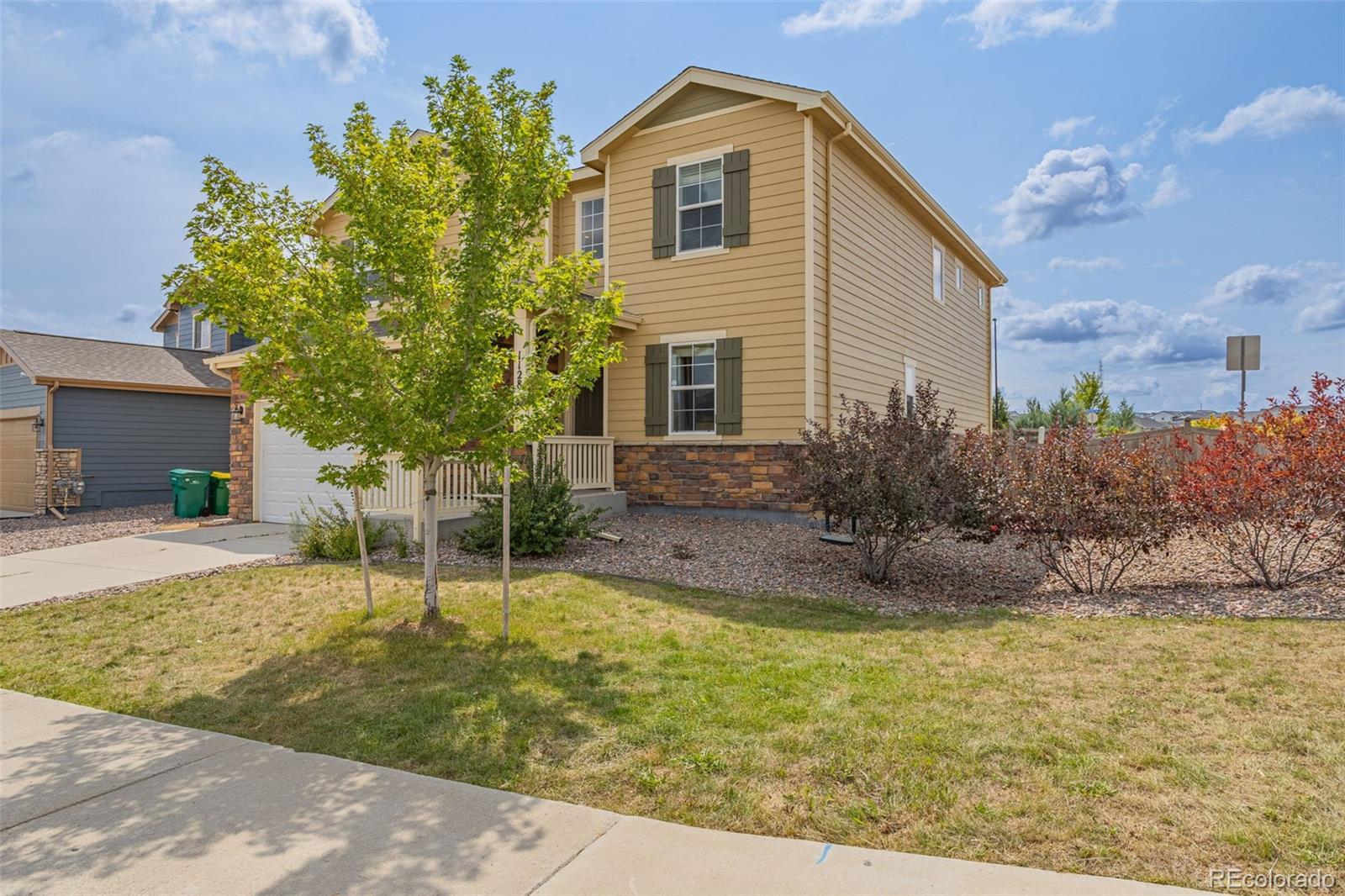 1128  Mcmurdo Circle, castle rock  House Search MLS Picture