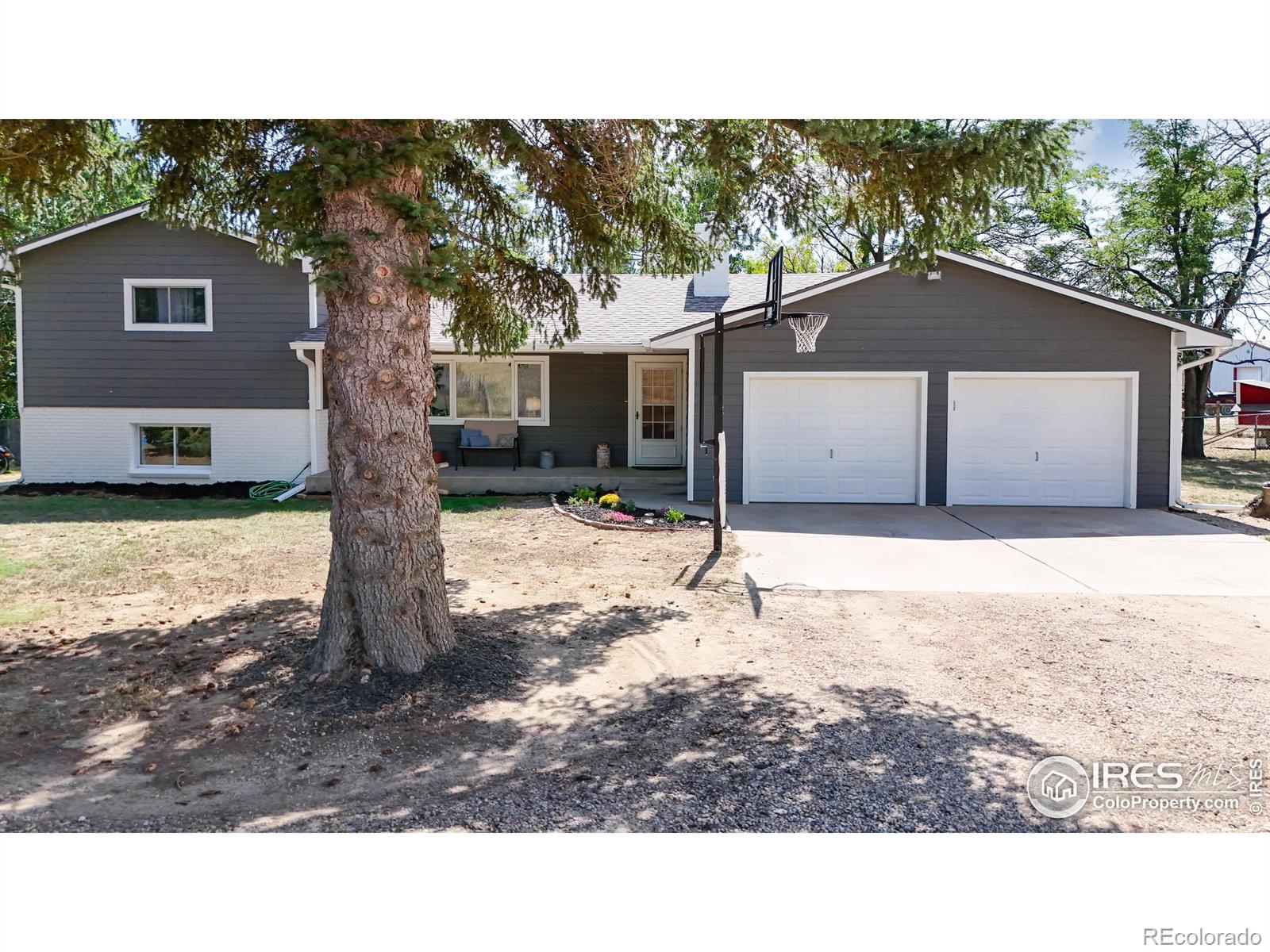 fort collins  House Search Picture