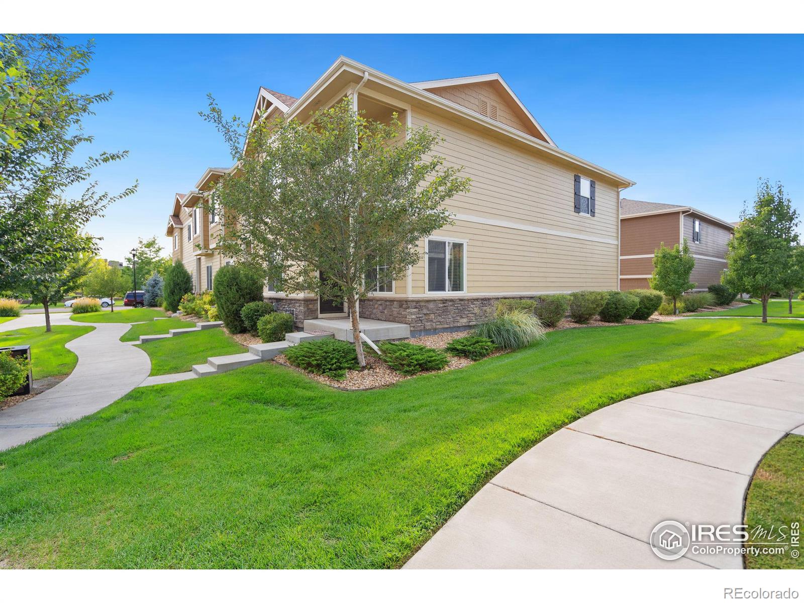 1438  Sepia Avenue, longmont  House Search MLS Picture