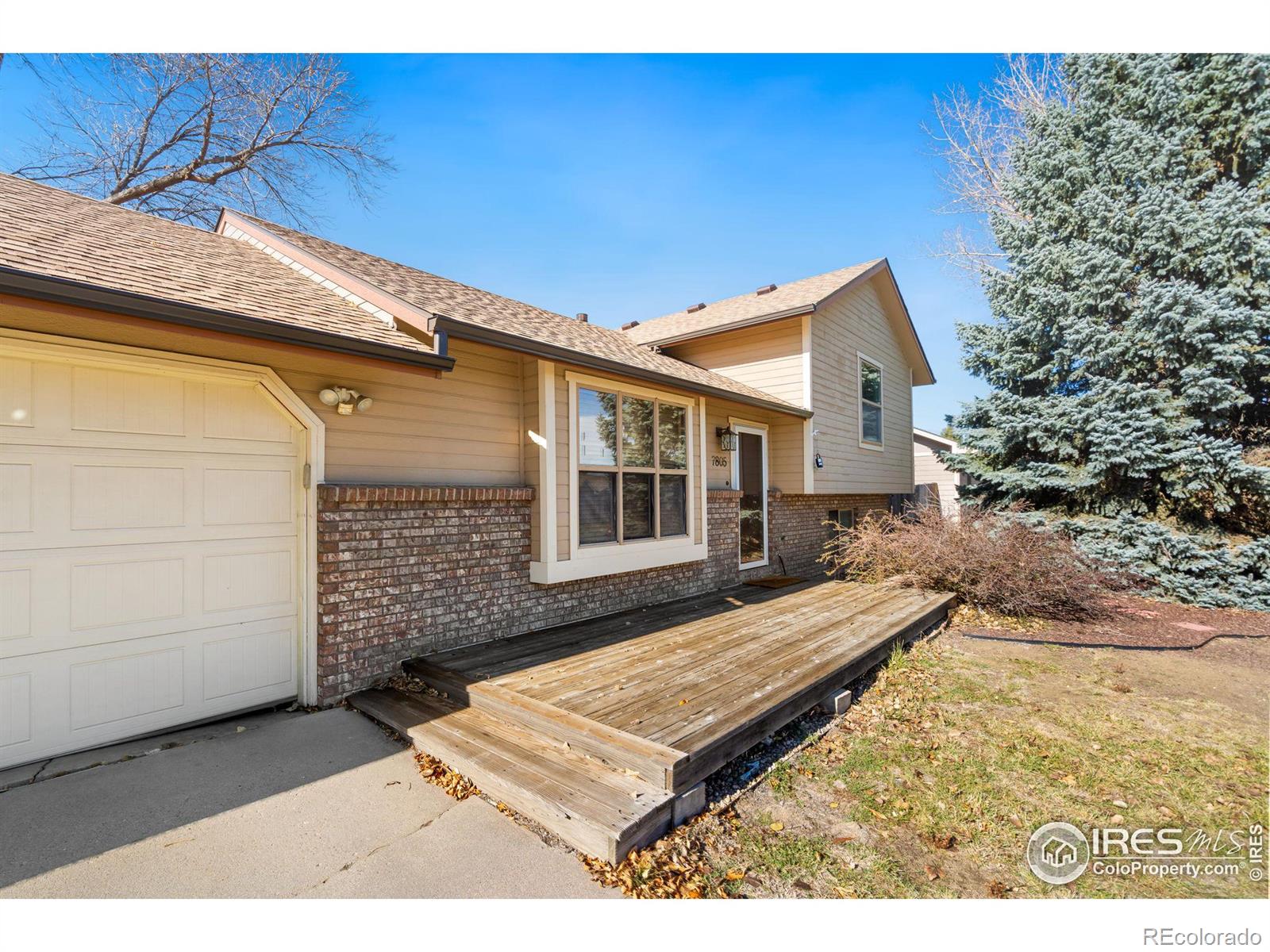 7805  Costigan Avenue, fort collins  House Search MLS Picture