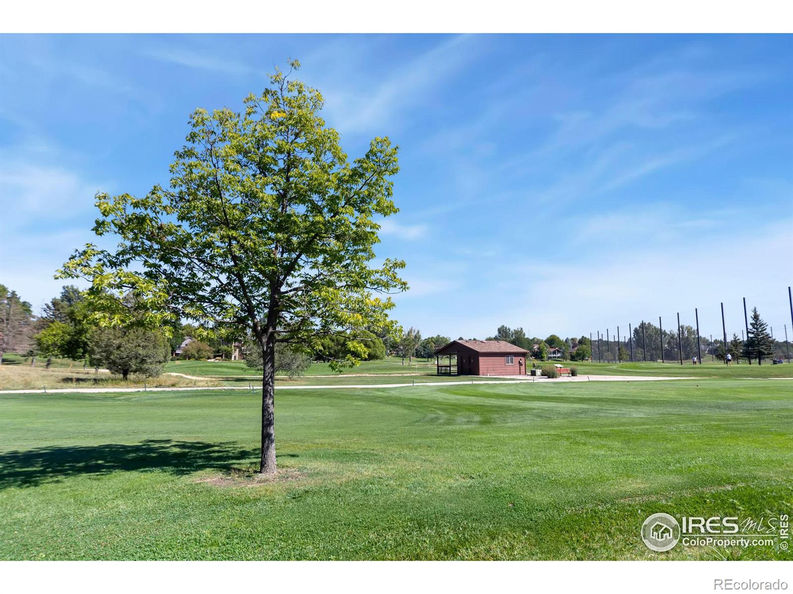 5742  Wingfoot Drive, fort collins  House Search MLS Picture