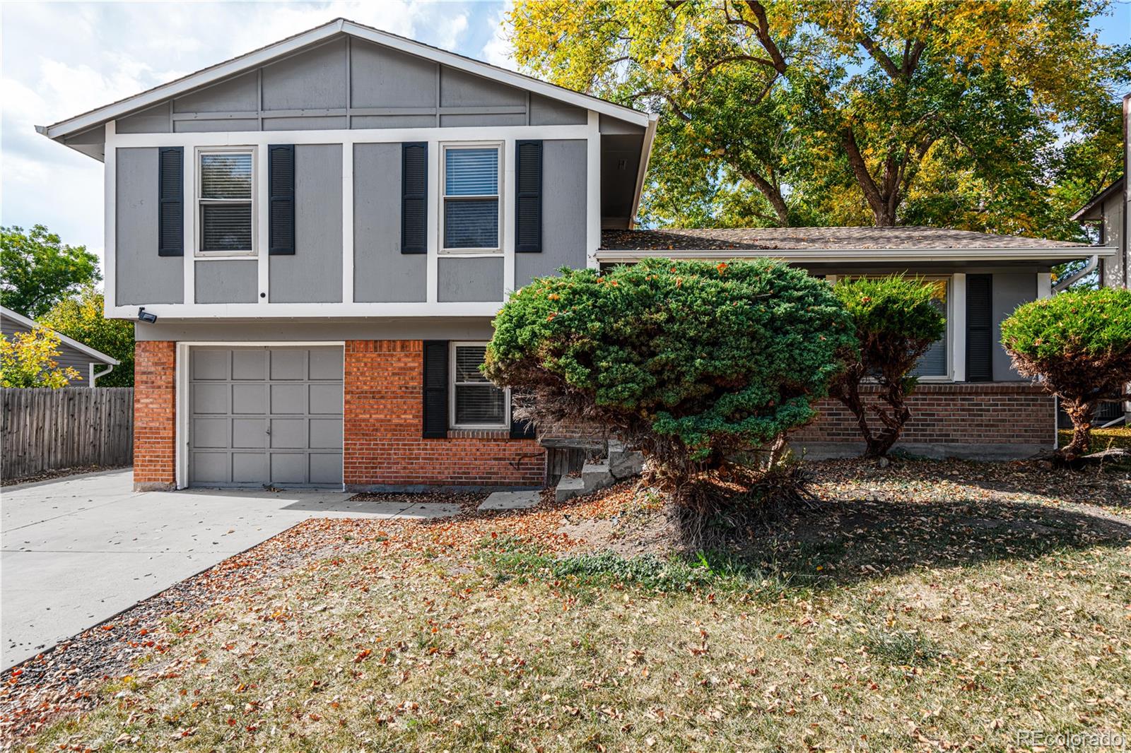 8527  Gray Street, arvada  House Search MLS Picture