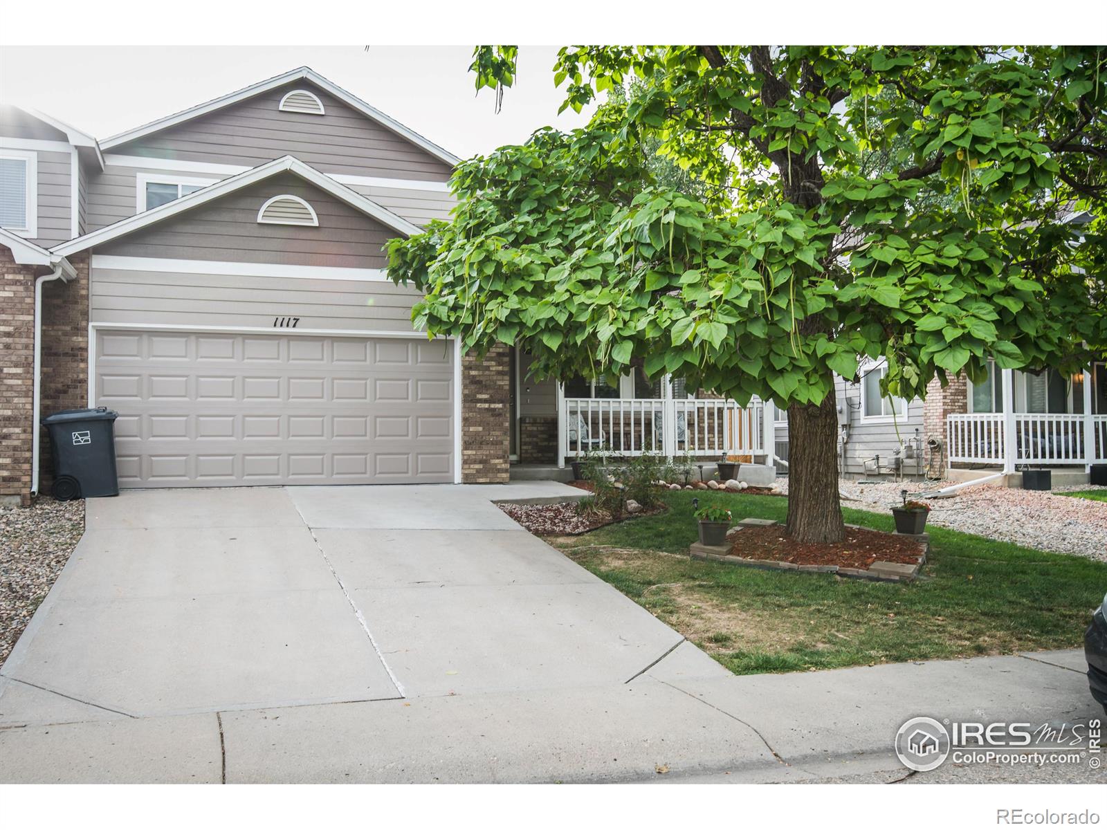 1117  Lavender Avenue, loveland  House Search MLS Picture