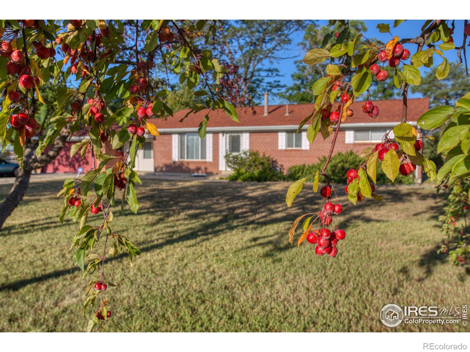 10551 N 65th Street, longmont  House Search MLS Picture