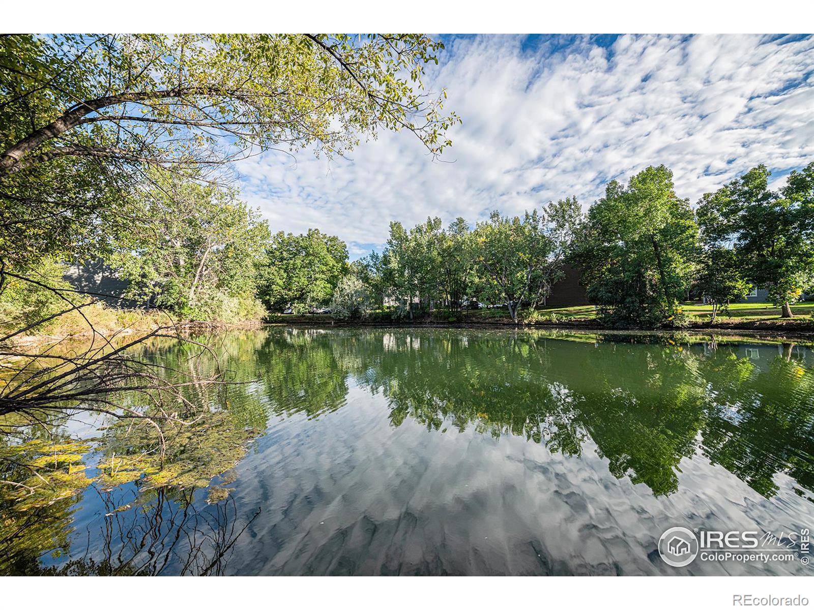 fort collins  House Search Picture