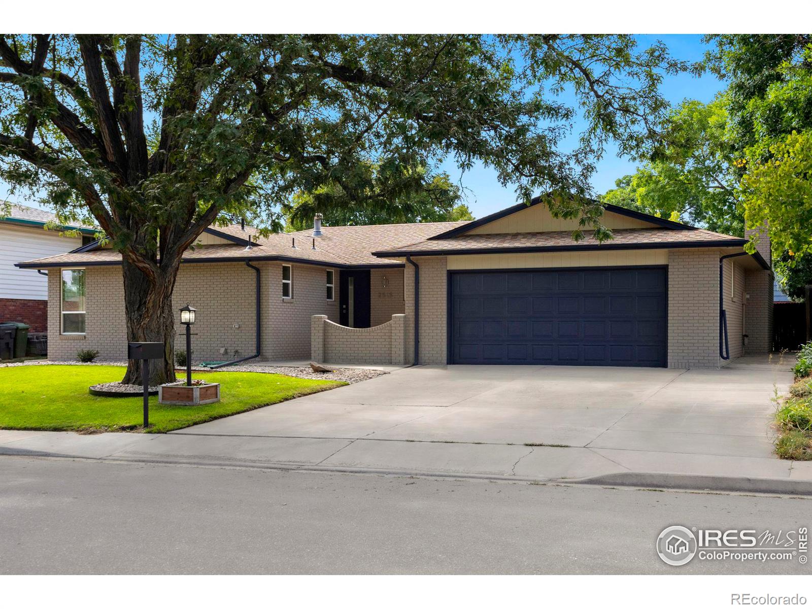 2515  Estrella Avenue, loveland  House Search MLS Picture