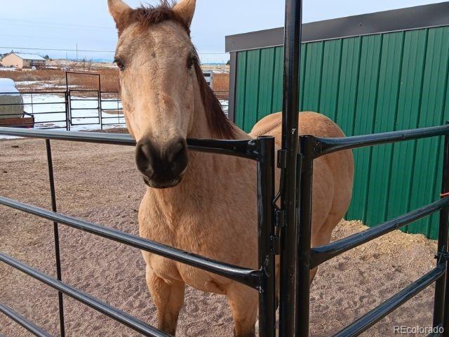 pueblo  House Search Picture