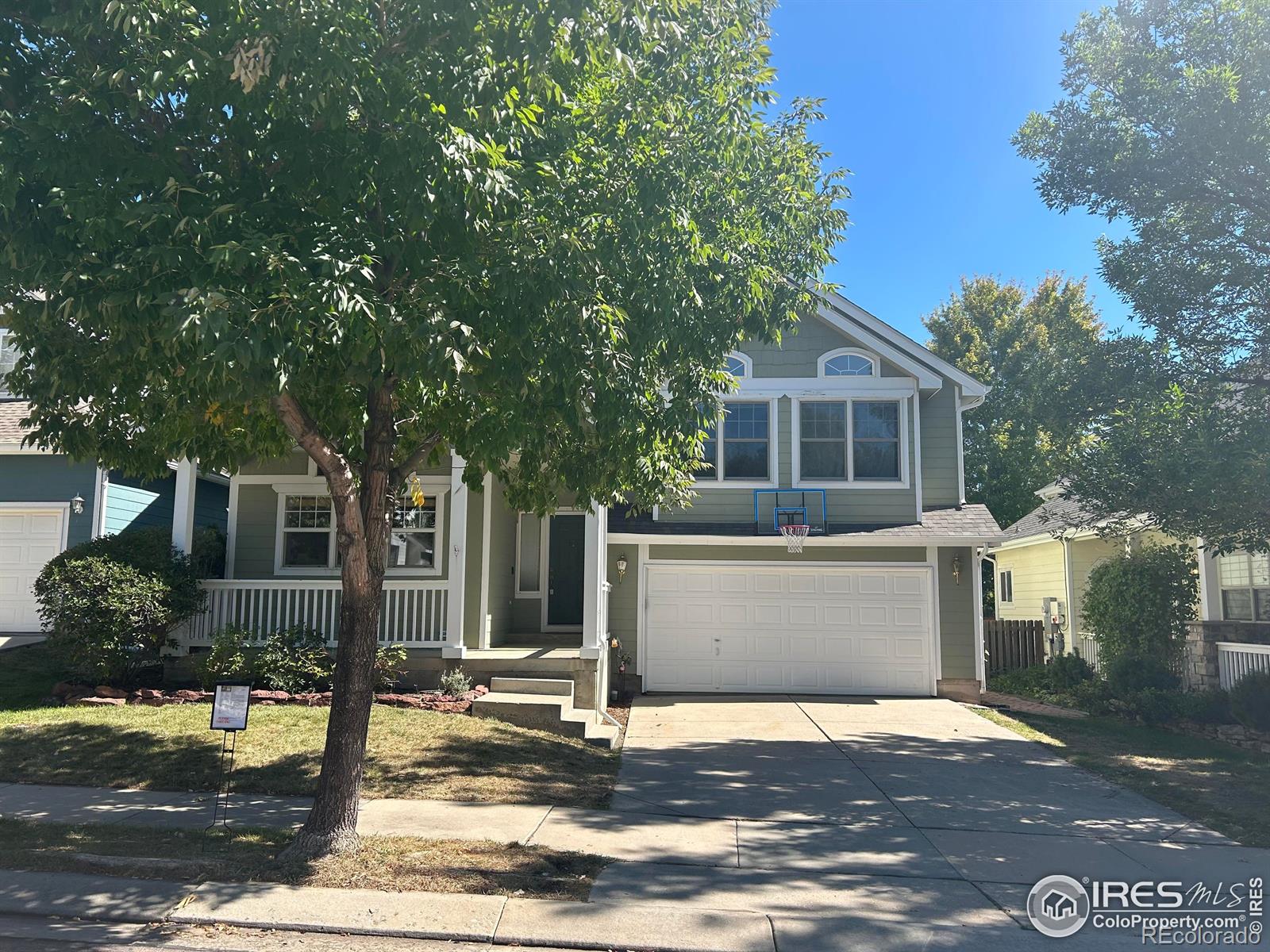 232  Sugarbin Court, longmont  House Search MLS Picture