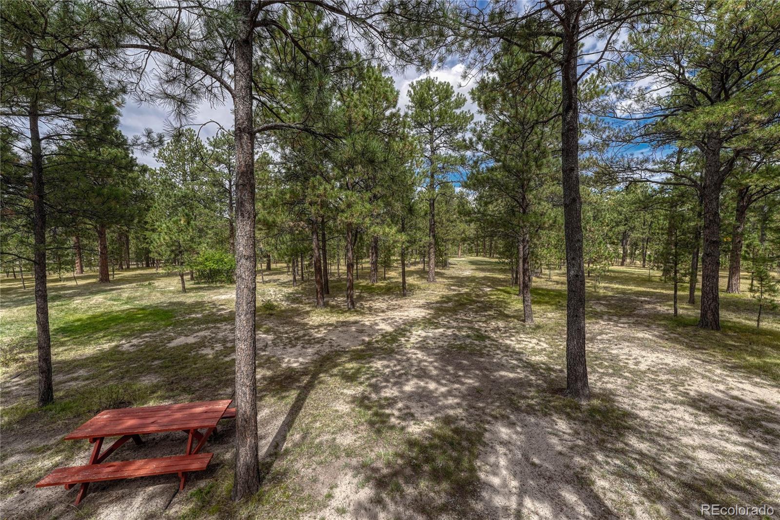 8510  Wilderness Drive, colorado springs  House Search MLS Picture