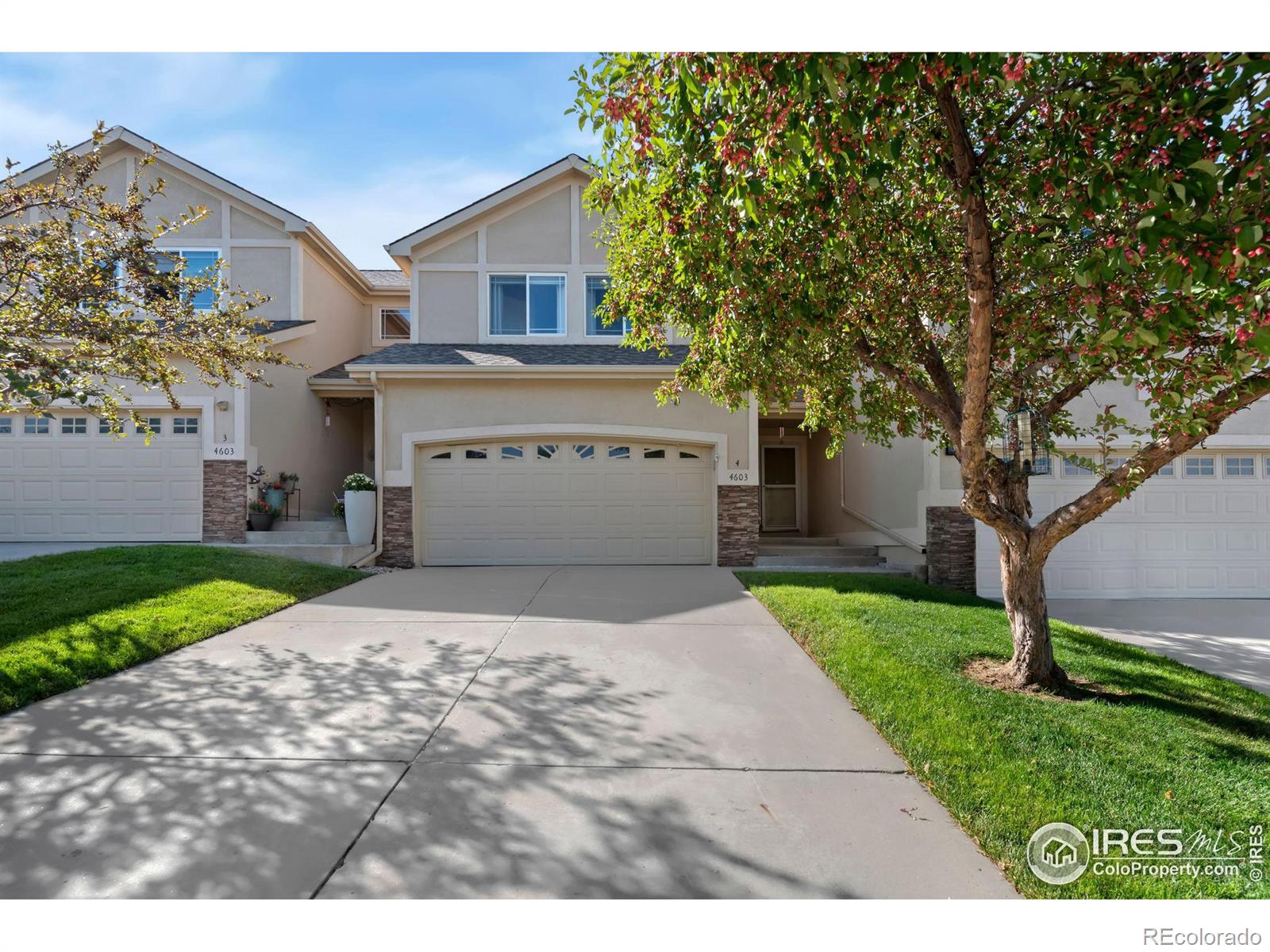 4603  Chokecherry Trail, fort collins MLS: 4567891019330 Beds: 3 Baths: 4 Price: $520,000