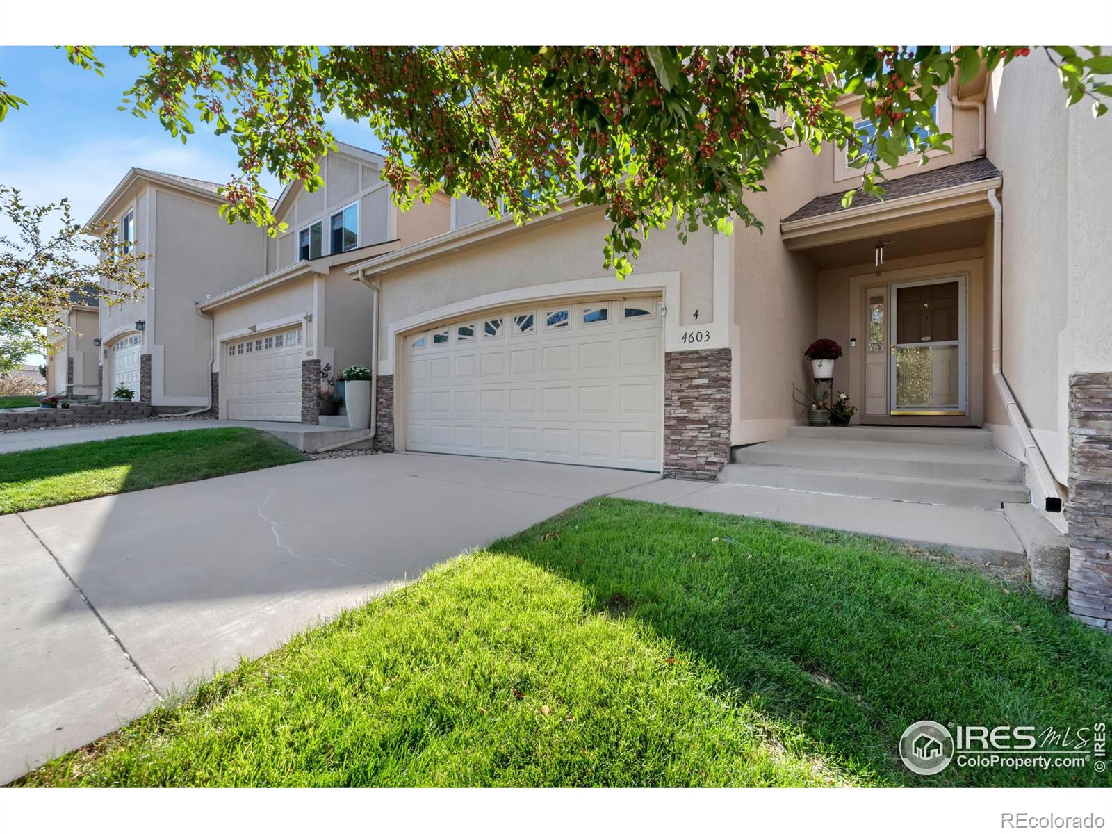 4603  Chokecherry Trail, fort collins  House Search MLS Picture