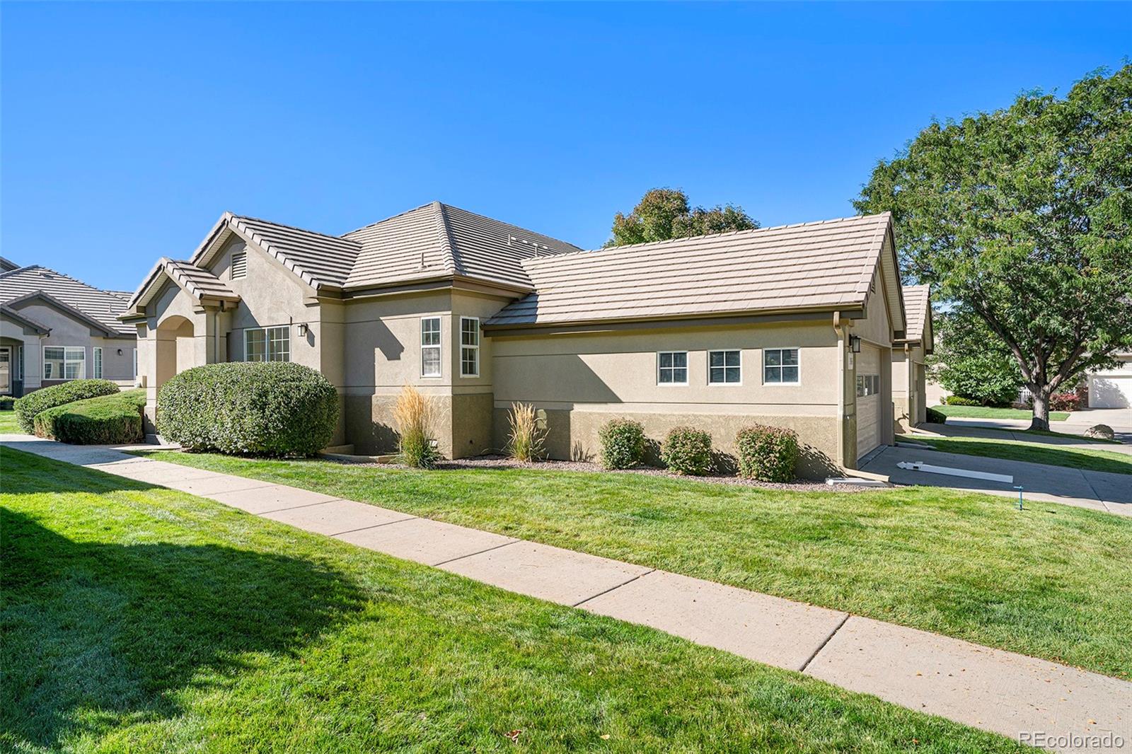 3965  Da Vinci Drive, longmont  House Search MLS Picture