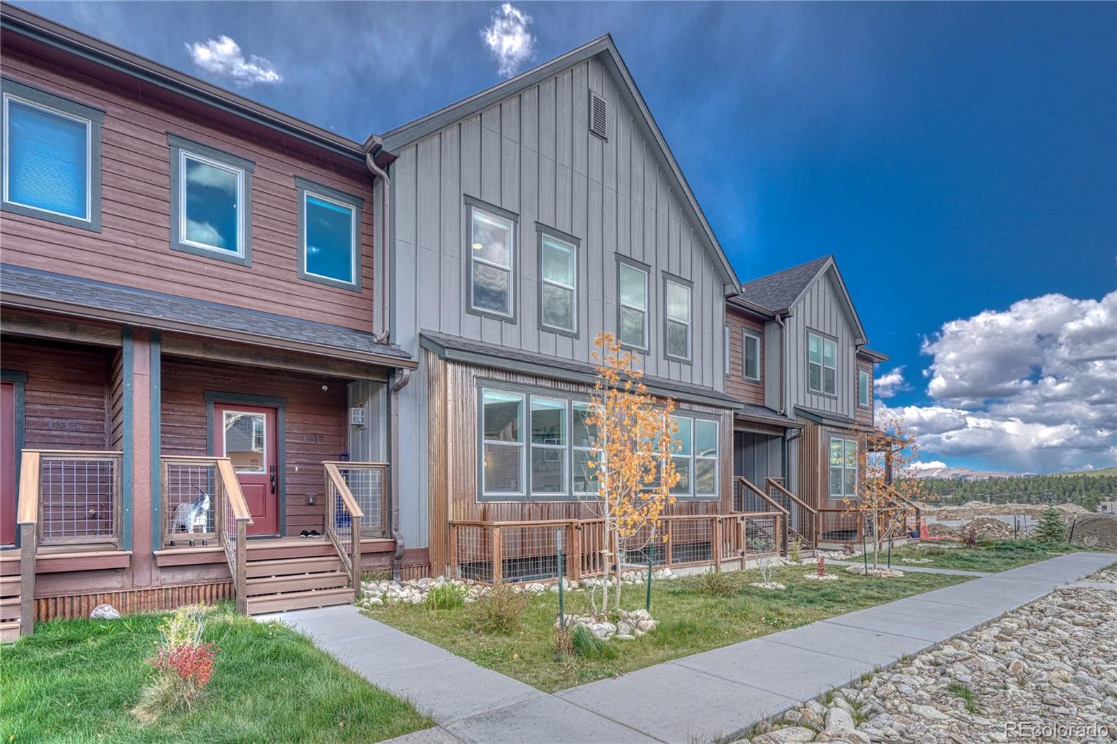 leadville  House Search Picture