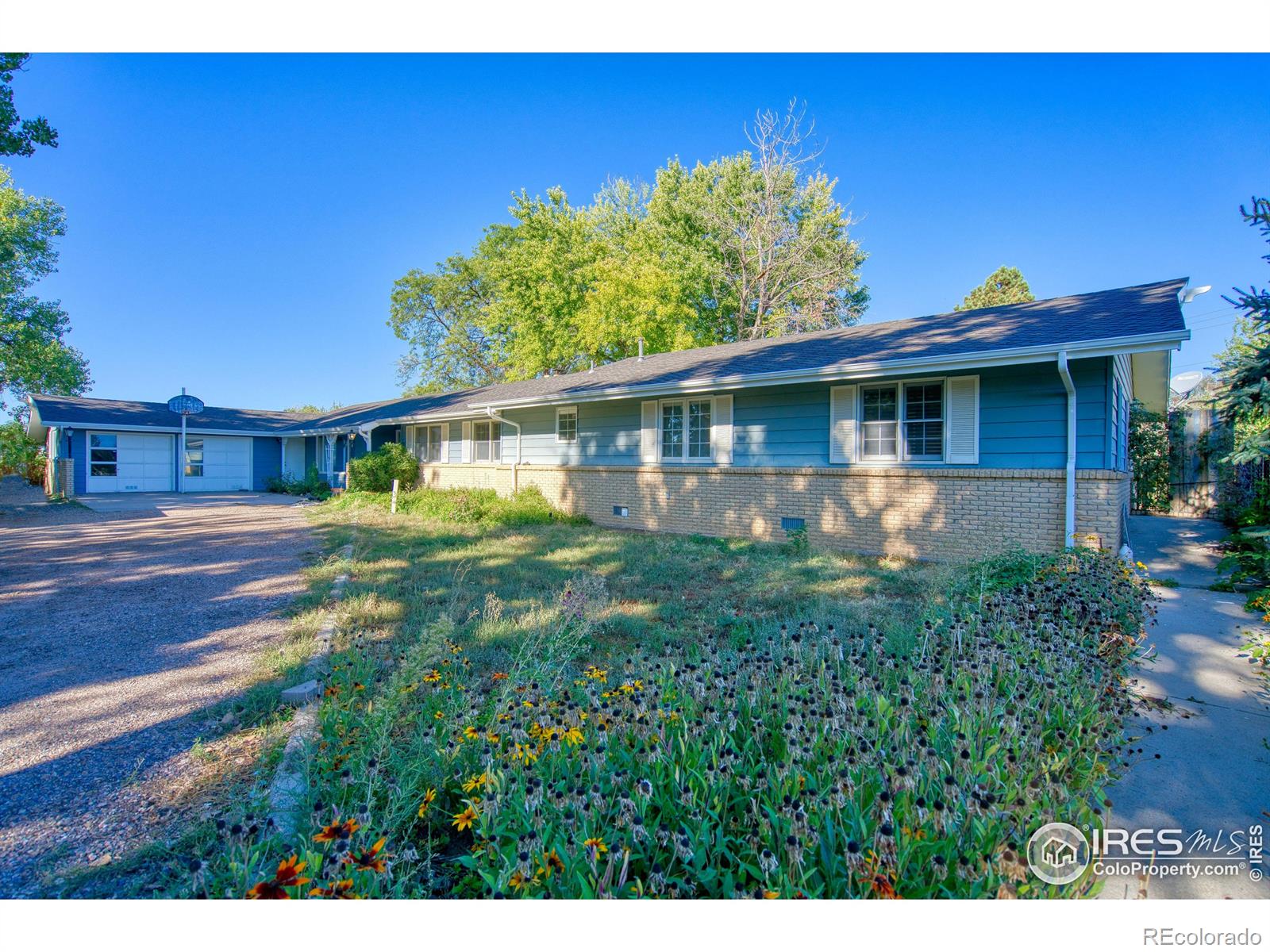 1439  47th Avenue, greeley  House Search MLS Picture