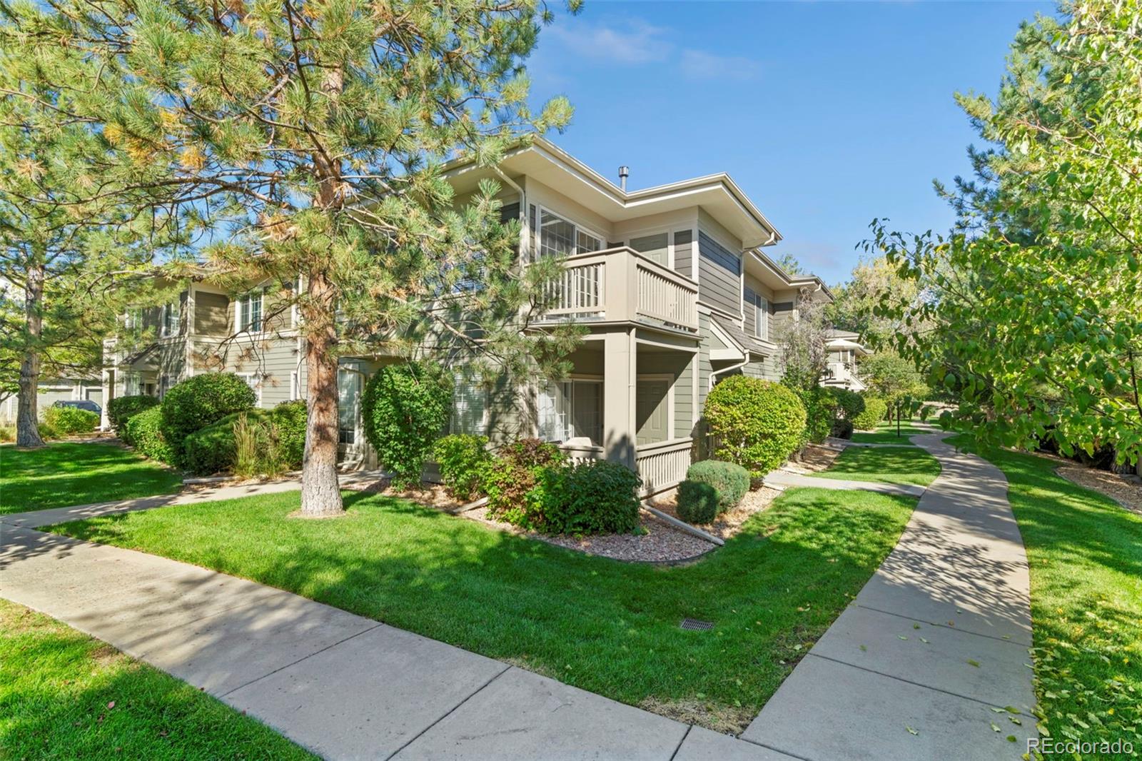 denver  House Search Picture