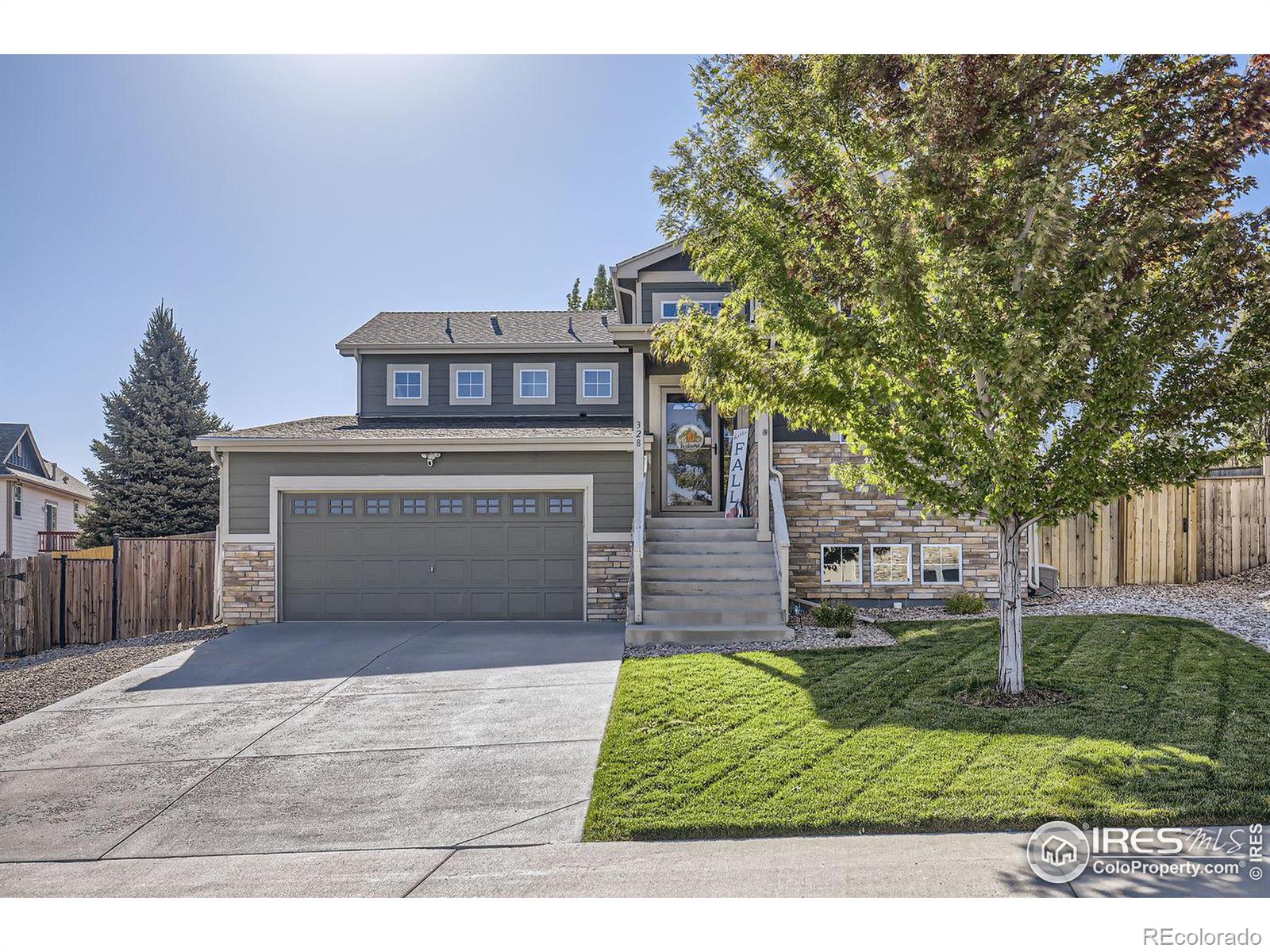 328  Cholla Drive, loveland  House Search MLS Picture