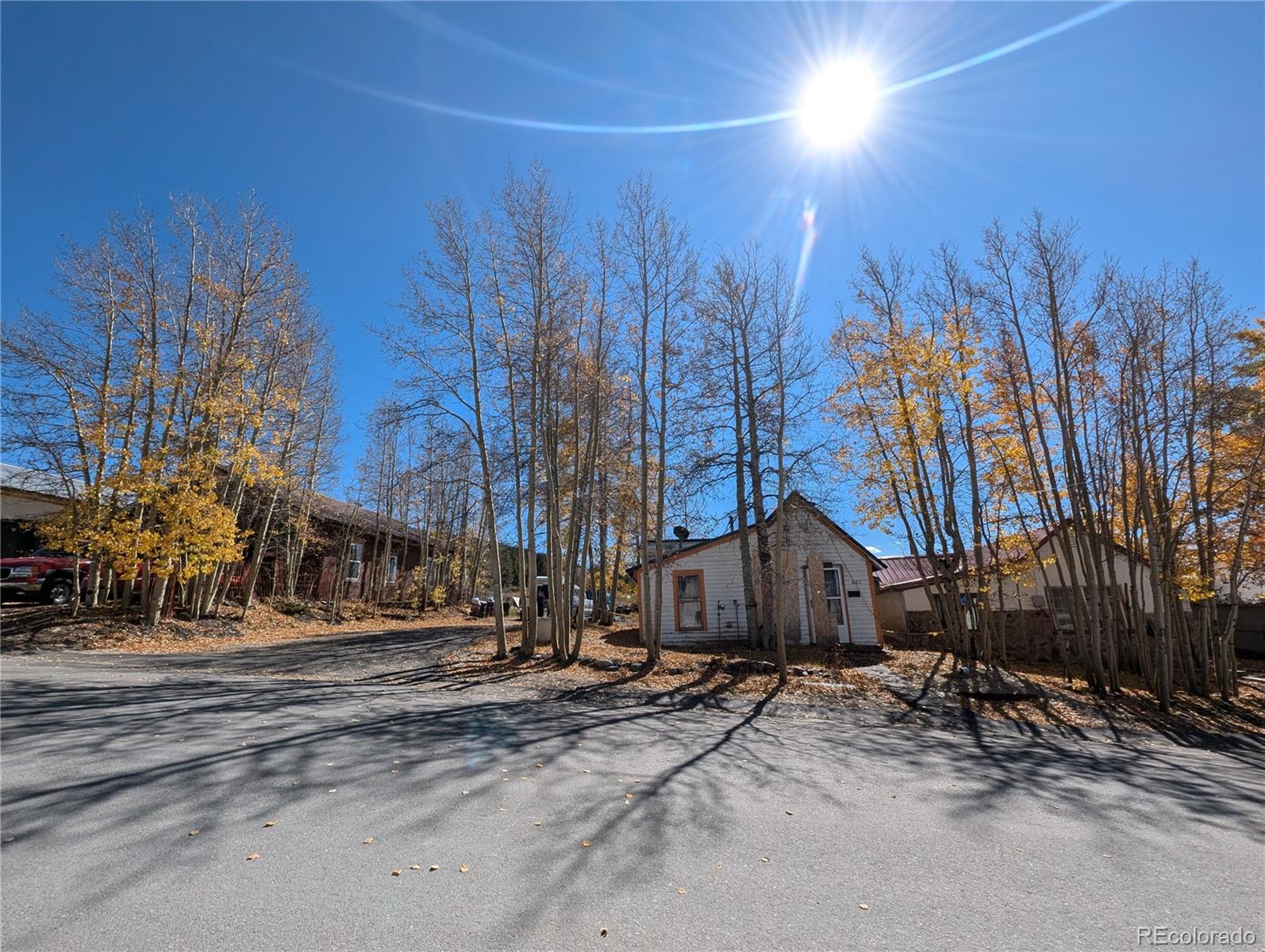 421 E 2nd Street, leadville  House Search MLS Picture