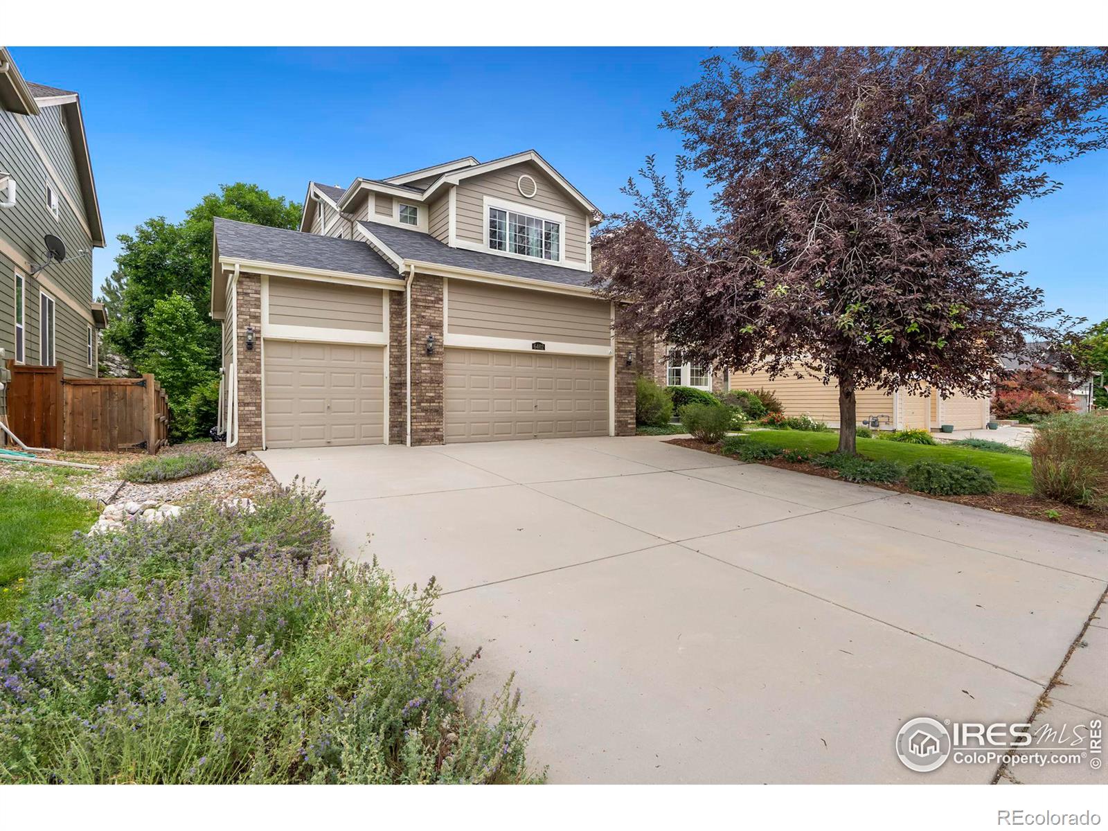 6402  Tilden Street, fort collins  House Search MLS Picture