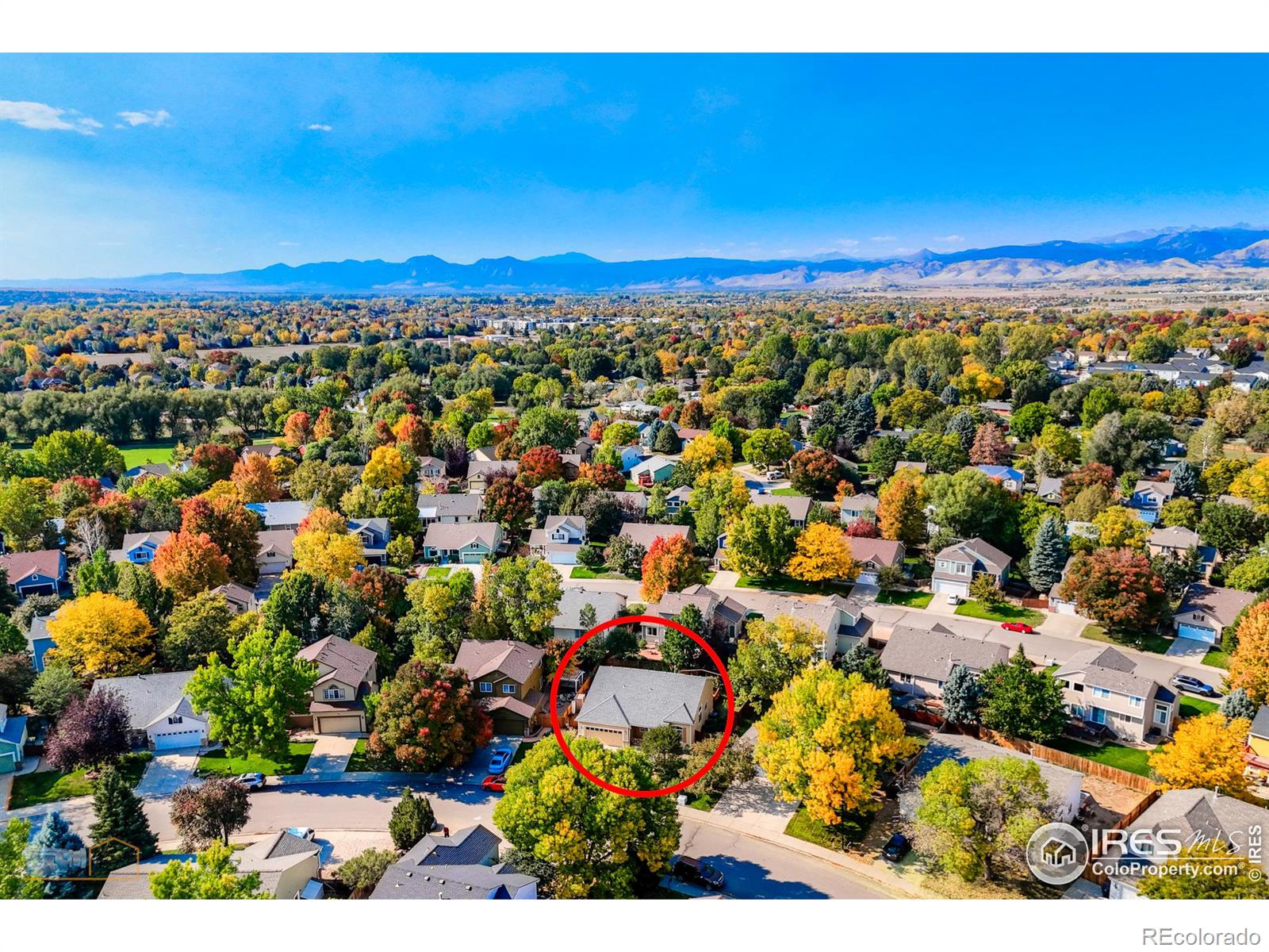 701  Nelson Park Lane, longmont  House Search MLS Picture