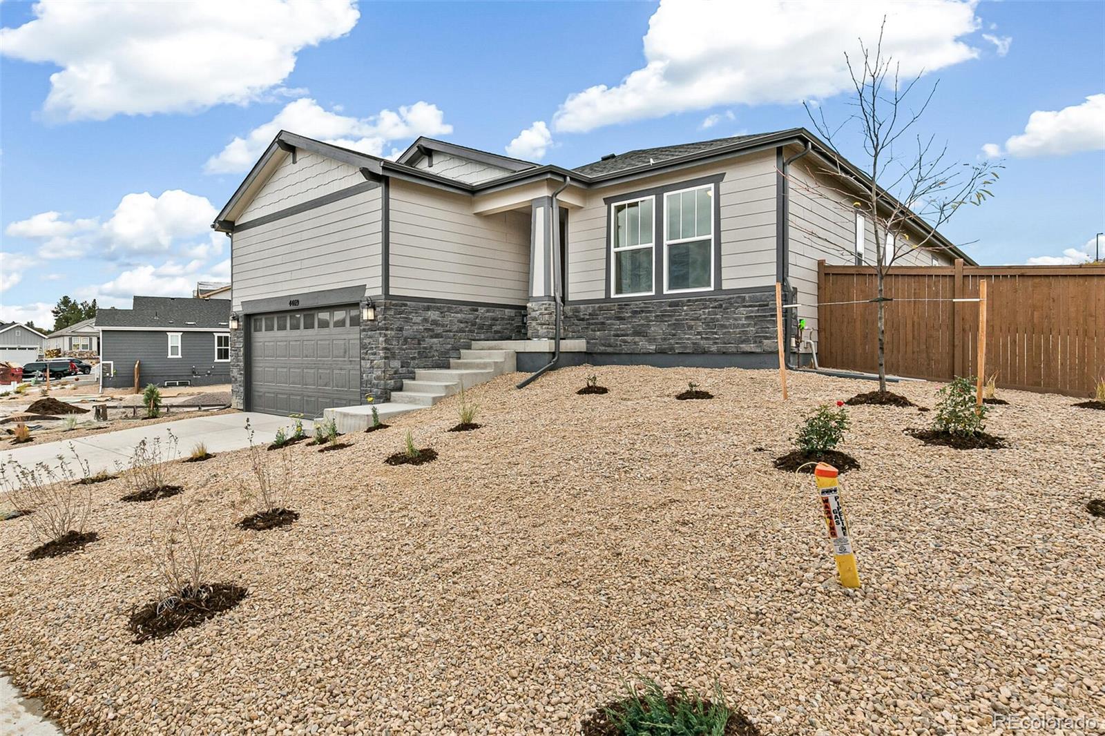 4469  Soapberry Place, castle rock  House Search MLS Picture