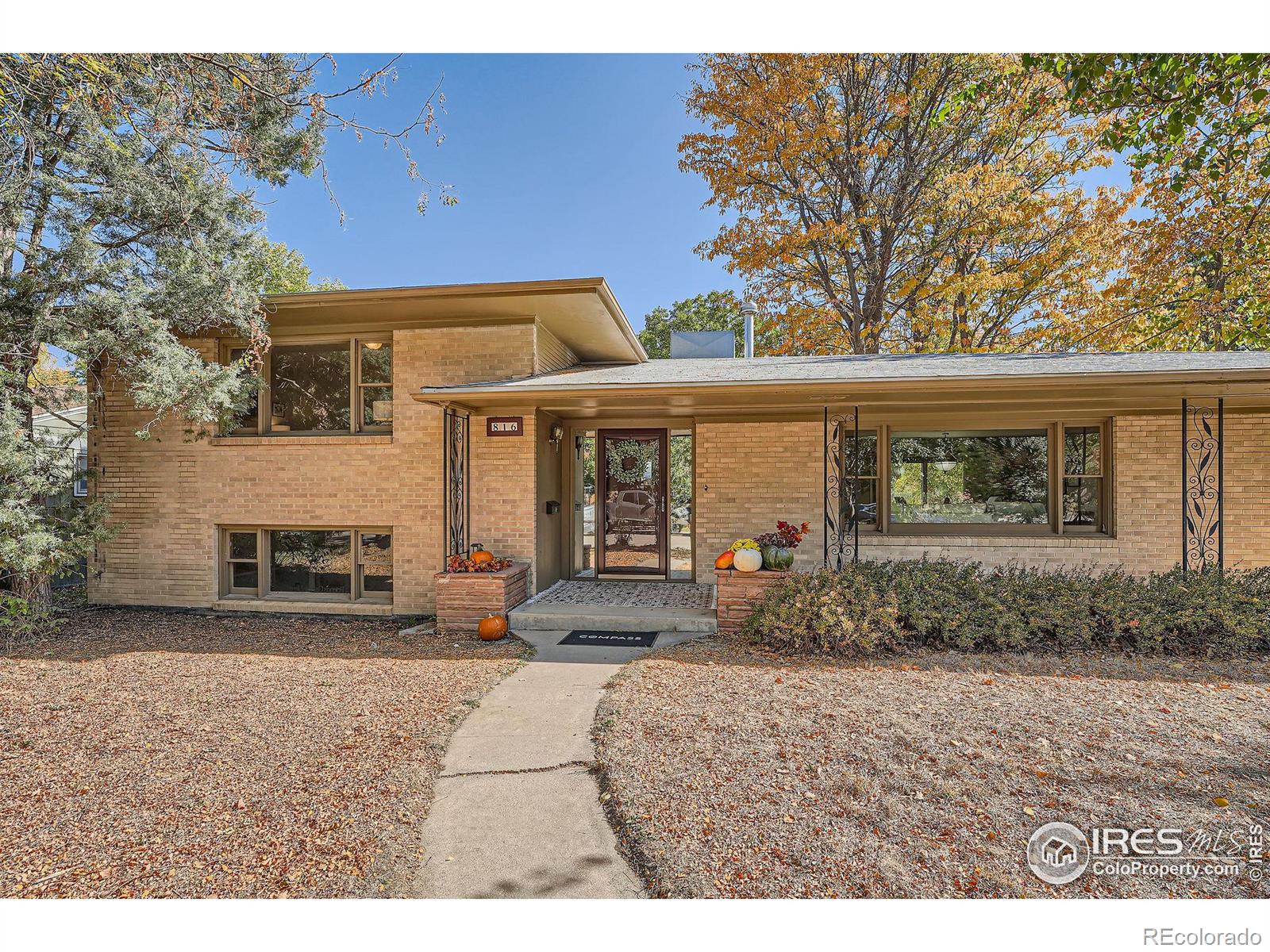 816  Grant Street, longmont  House Search MLS Picture