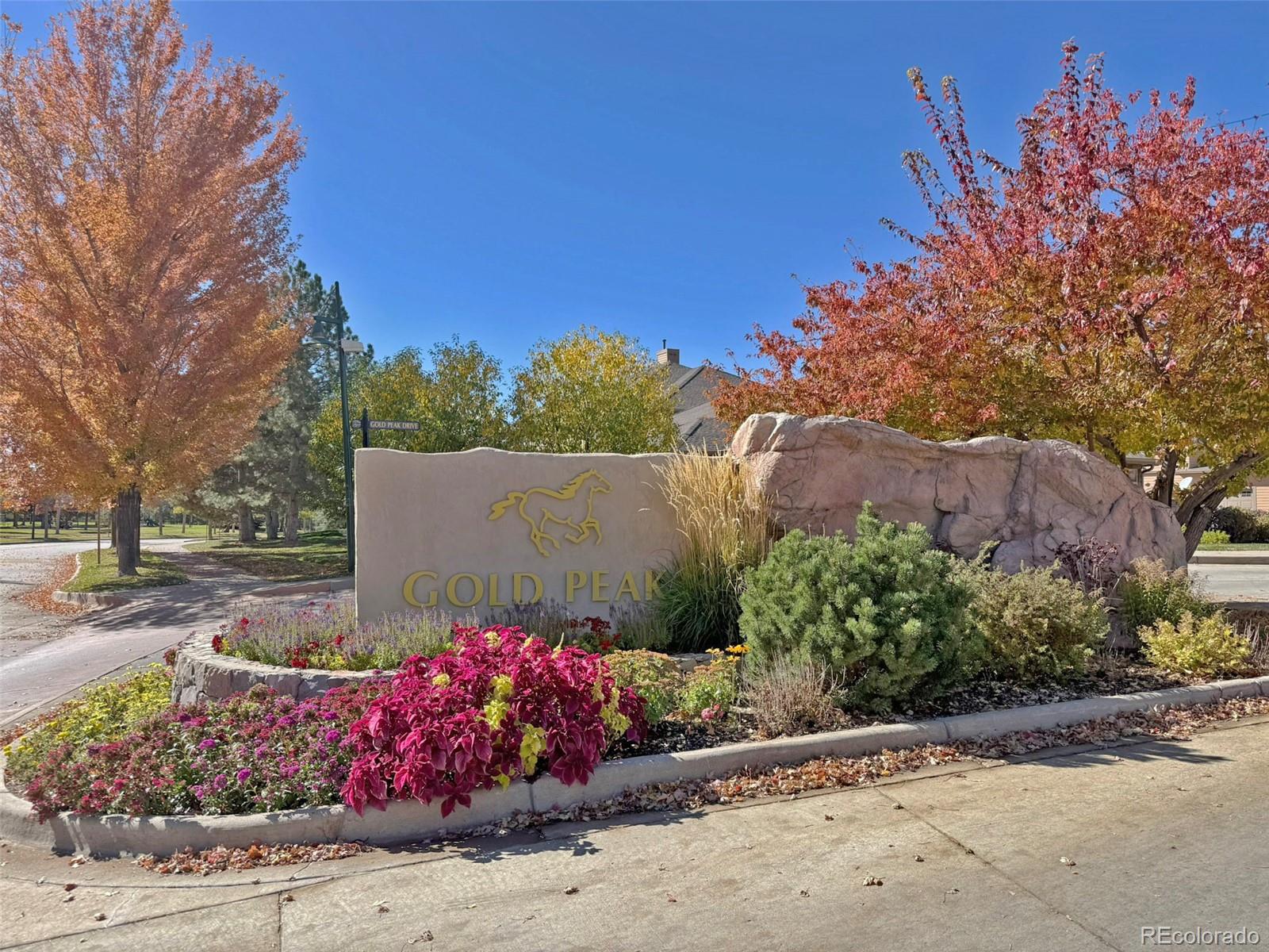 8547  Gold Peak Drive, highlands ranch  House Search MLS Picture