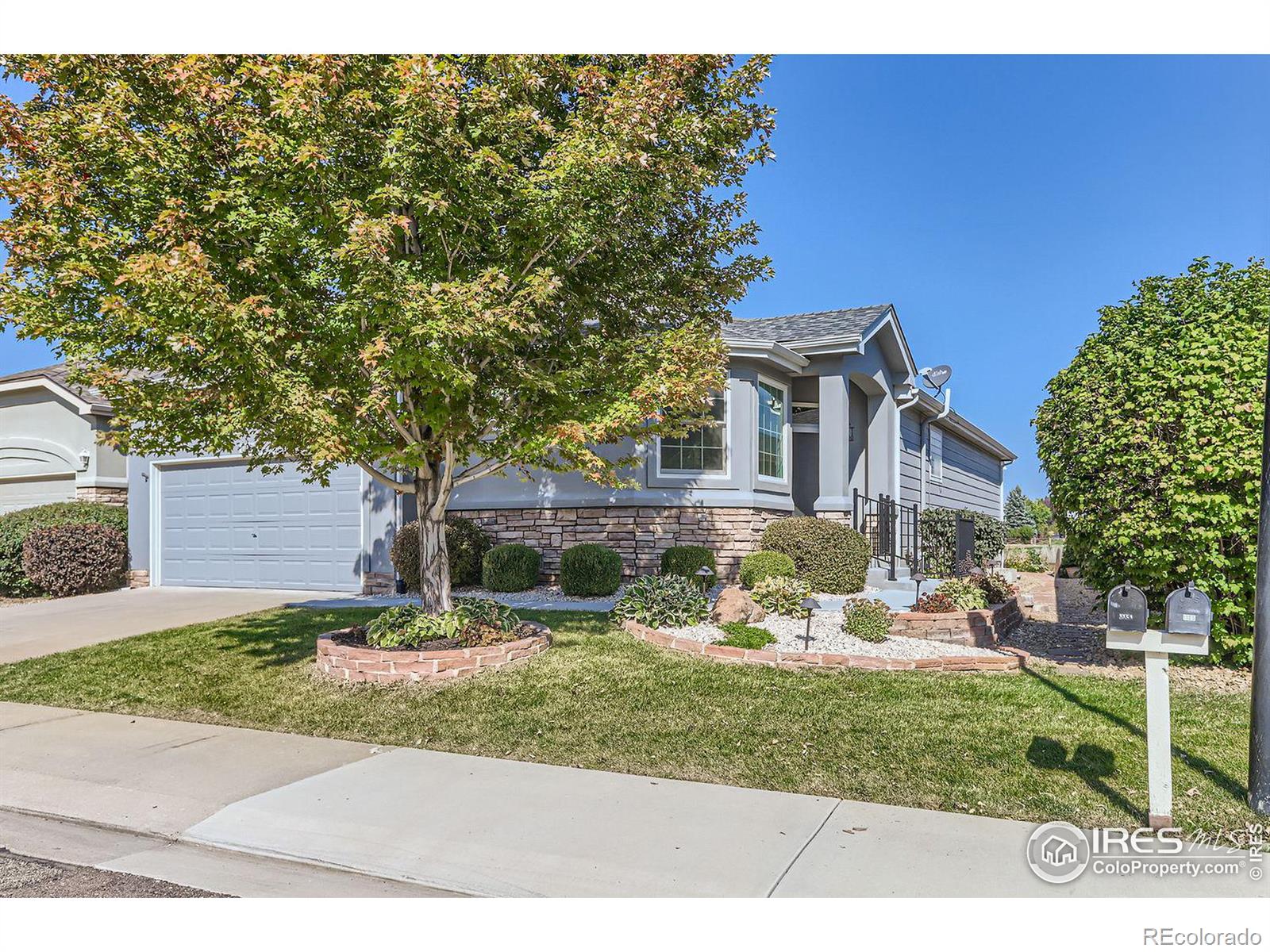 1101  Signature Circle, longmont  House Search MLS Picture