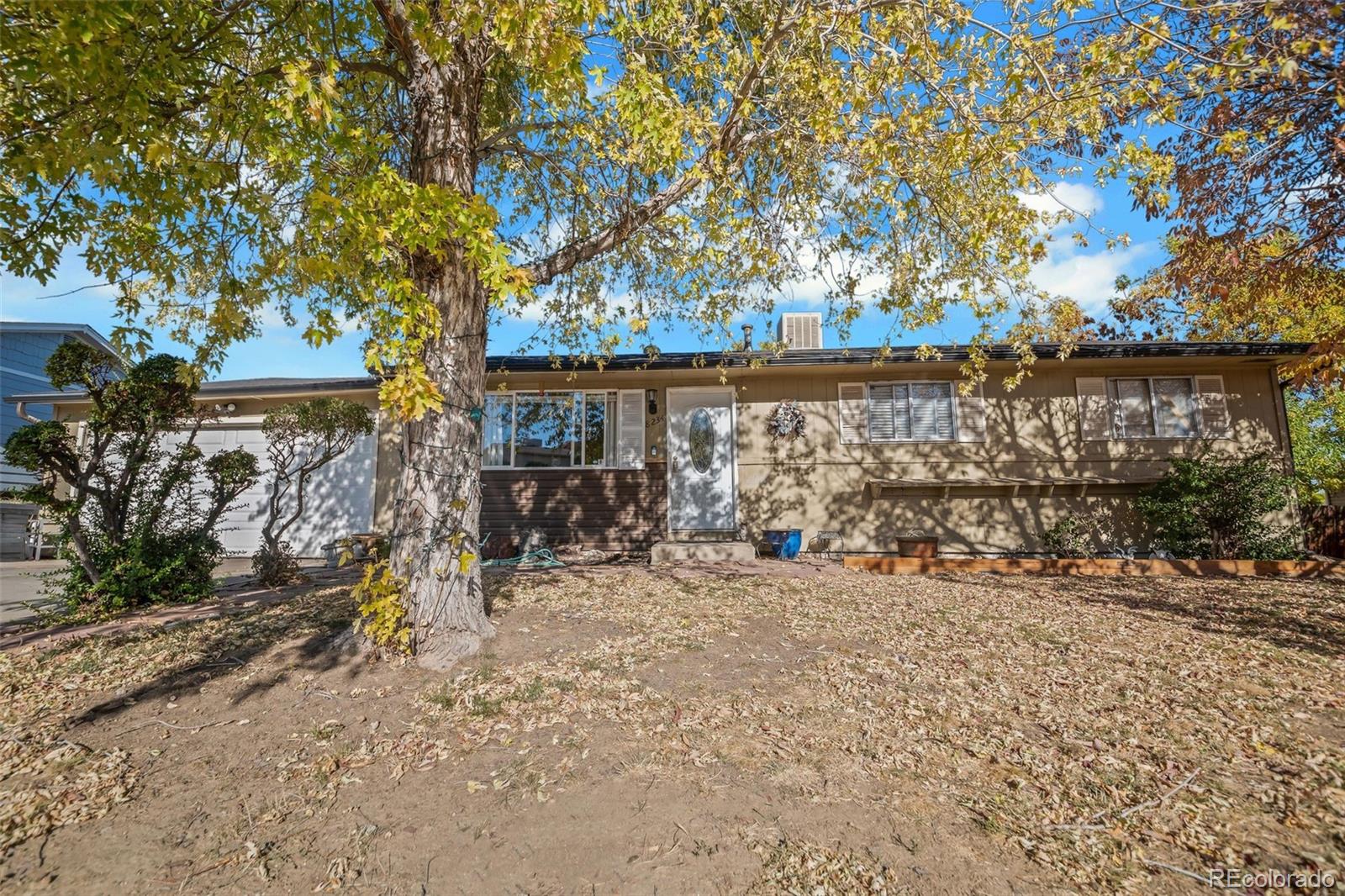 8234  Ladean Street, denver  House Search MLS Picture