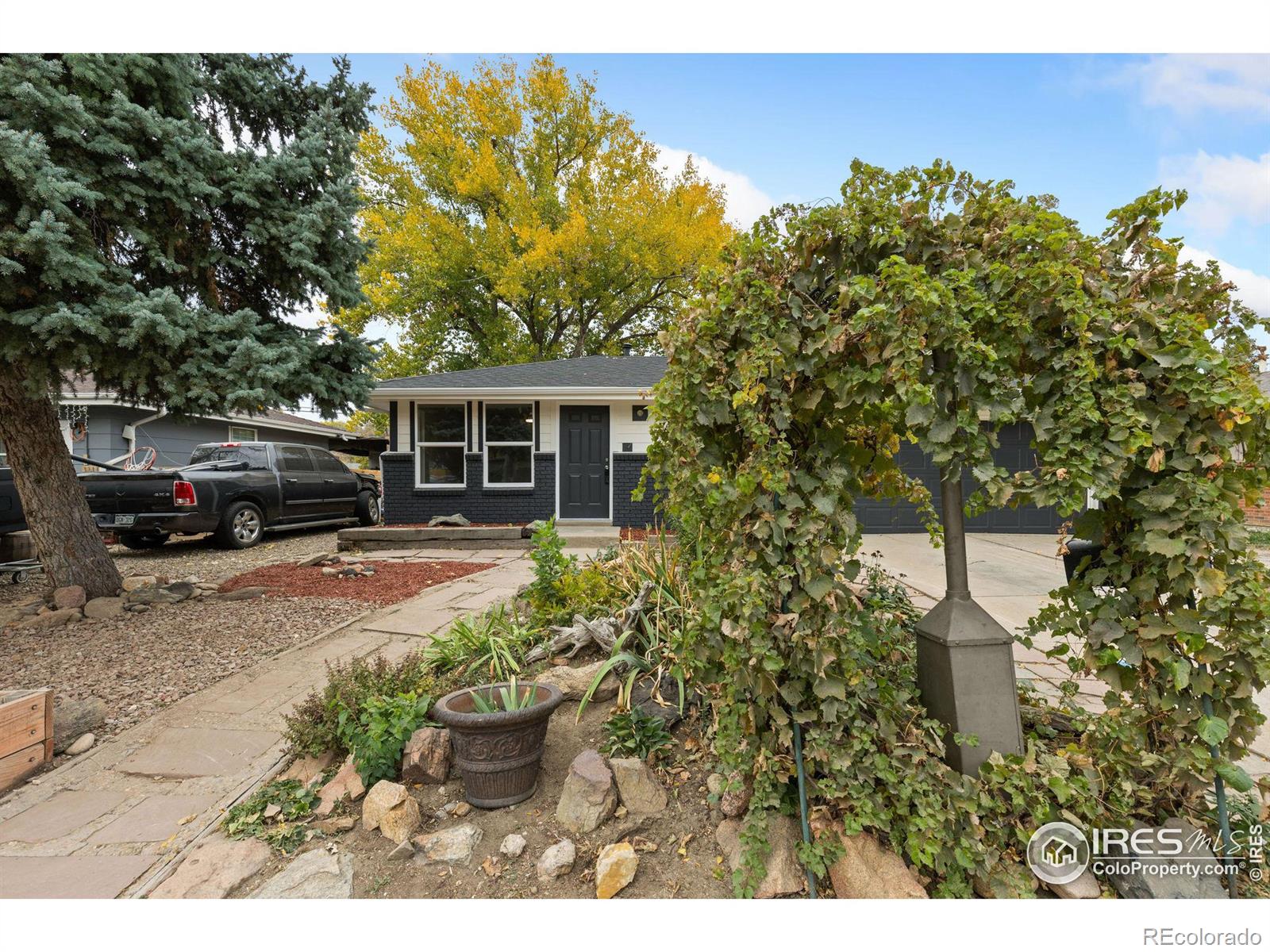 1339  Martin Street, longmont  House Search MLS Picture