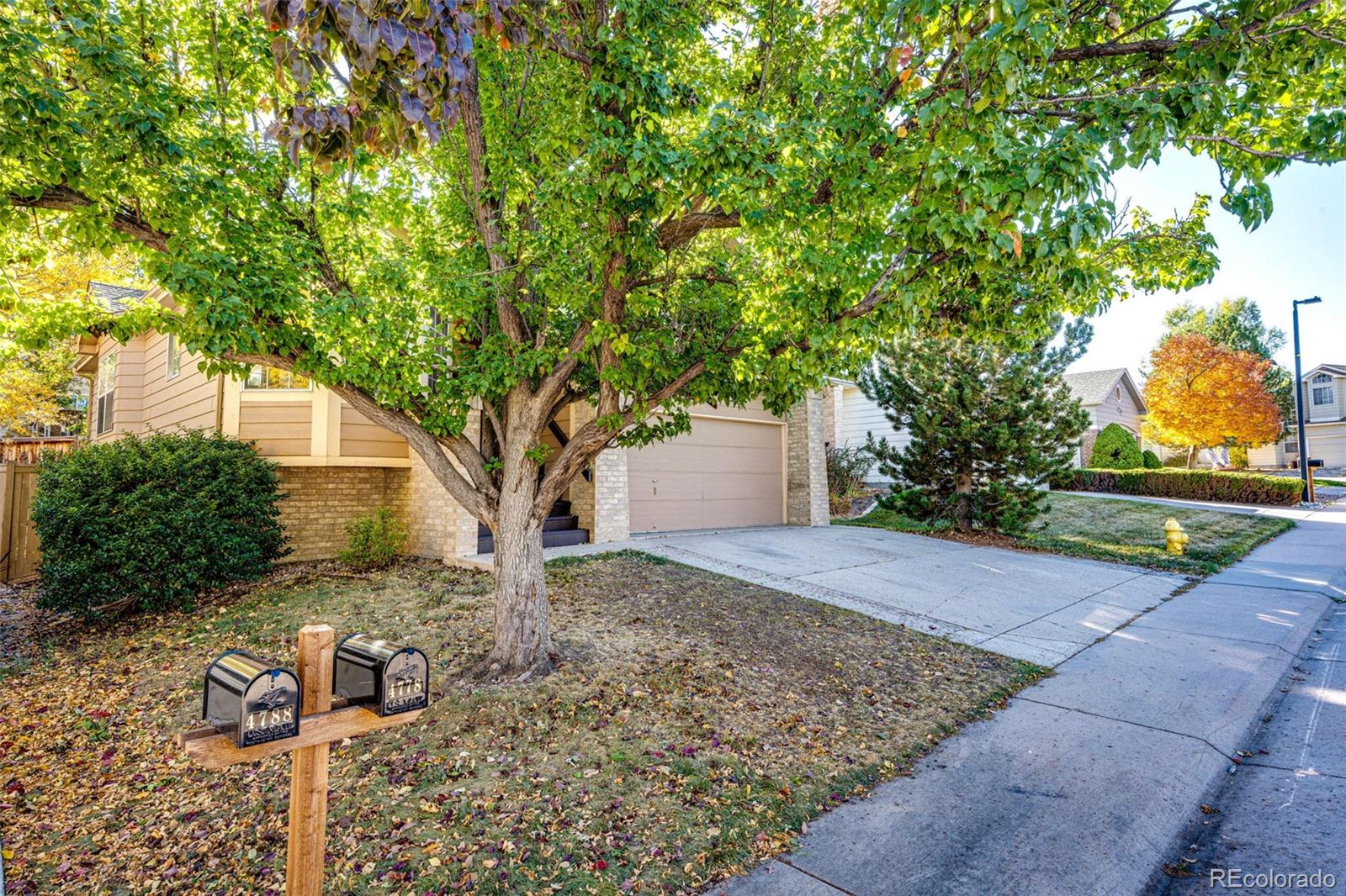 4778 N Bearlily Way, castle rock  House Search MLS Picture