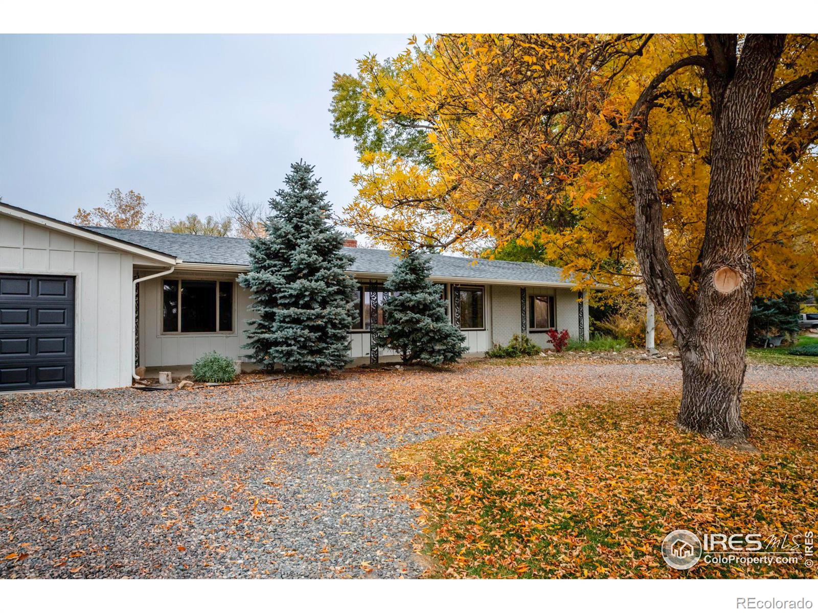 5646 N 71st Street, longmont  House Search MLS Picture