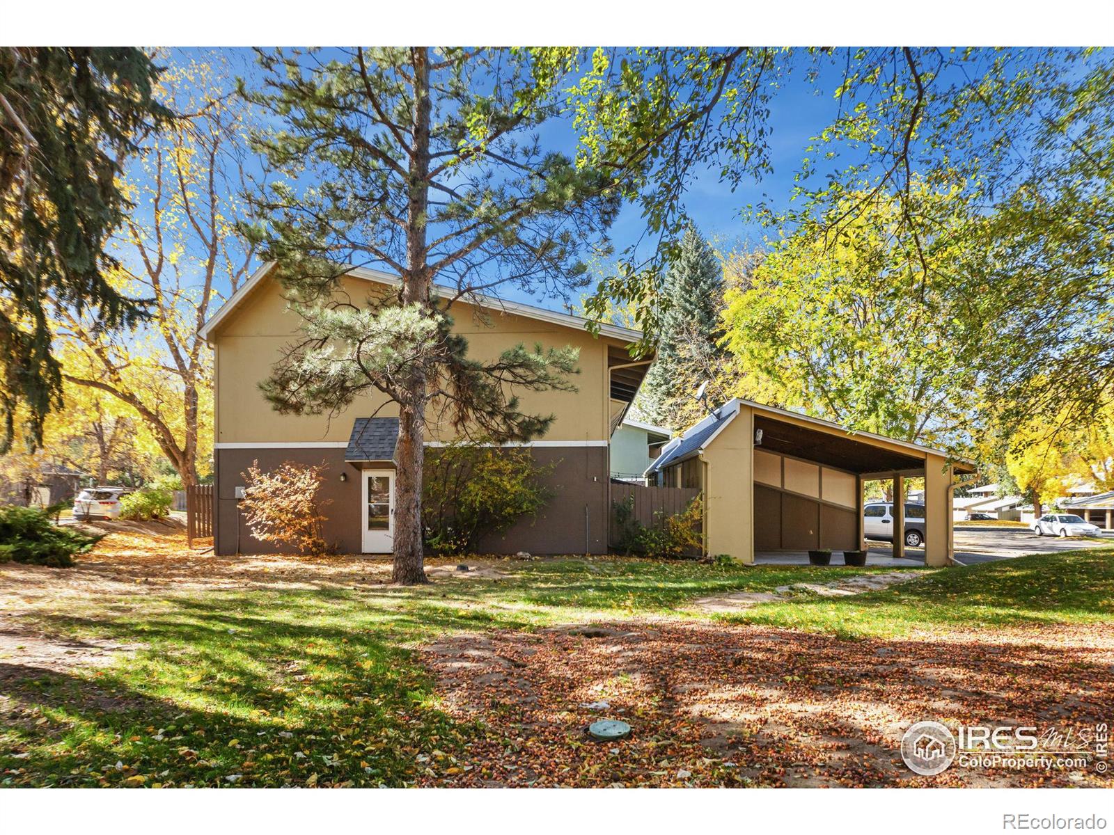 fort collins  House Search Picture