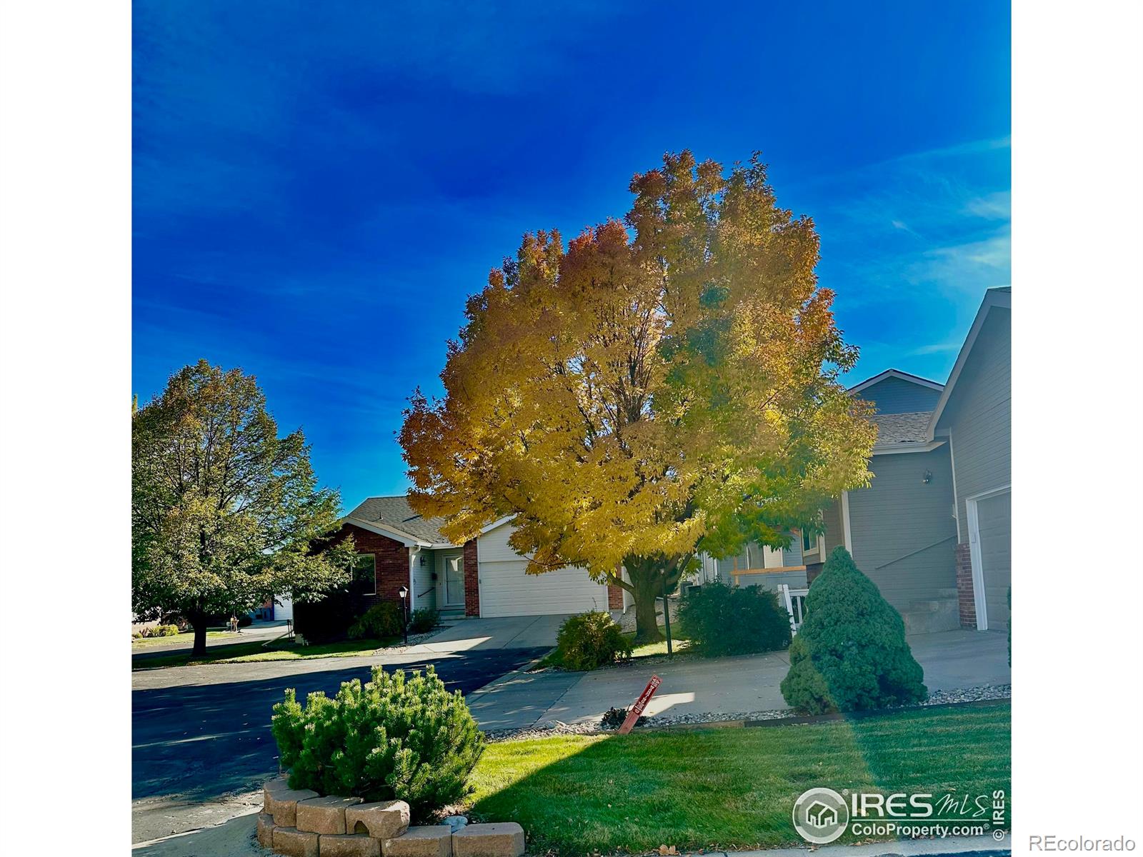 681  Radiant Drive, loveland  House Search MLS Picture