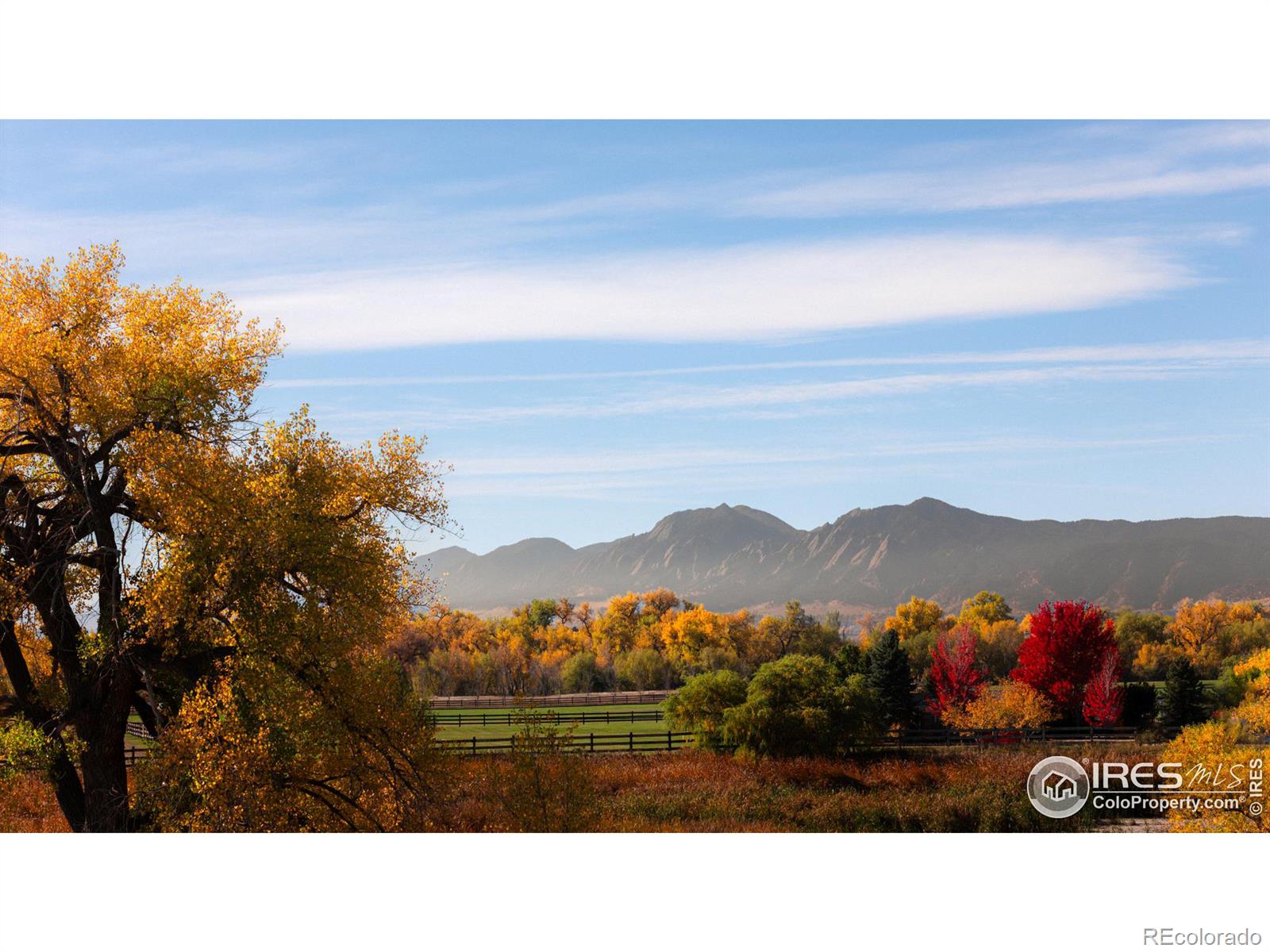 longmont  House Search Picture