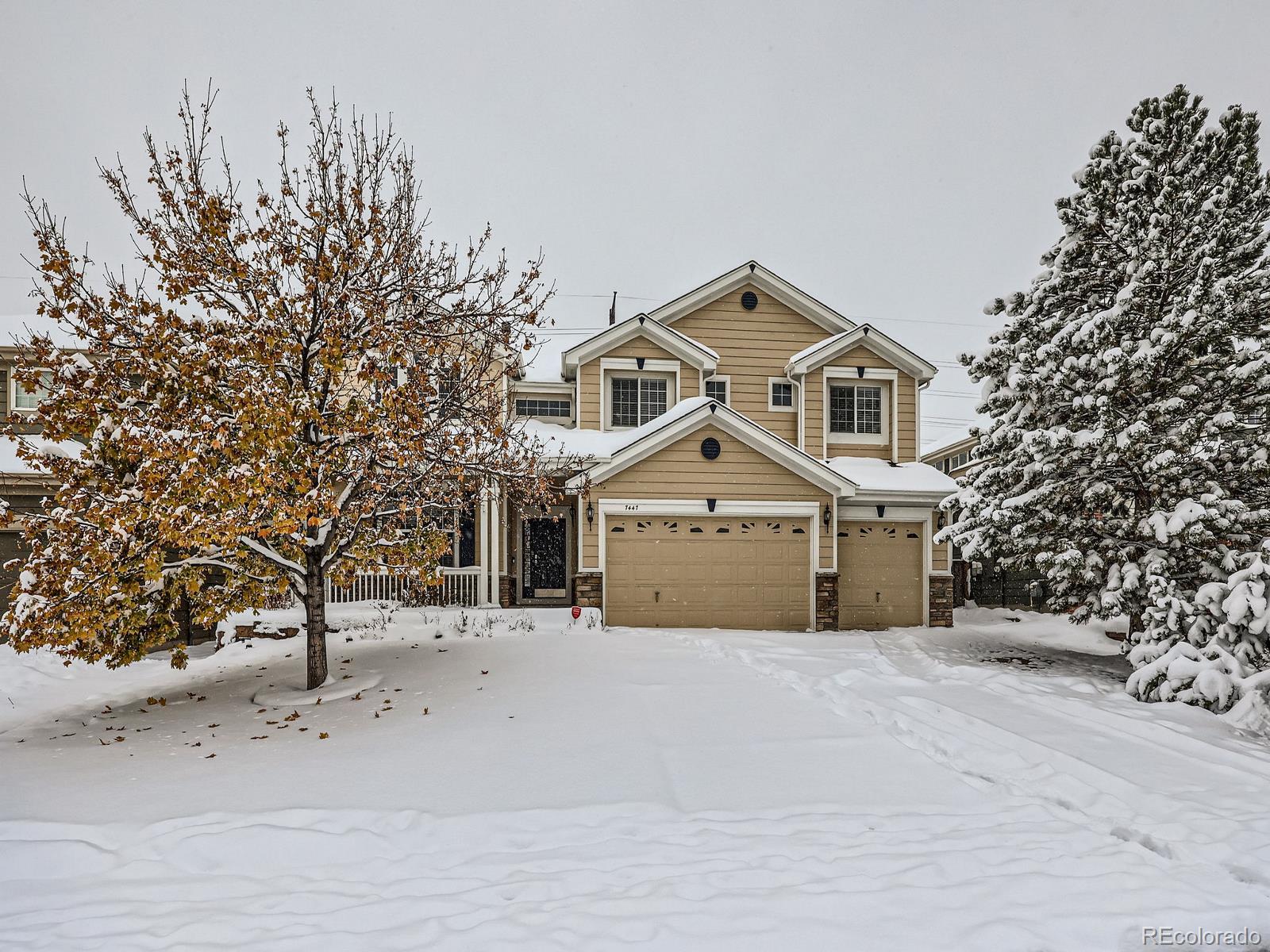 7447  Soapstone Way, castle rock  House Search MLS Picture