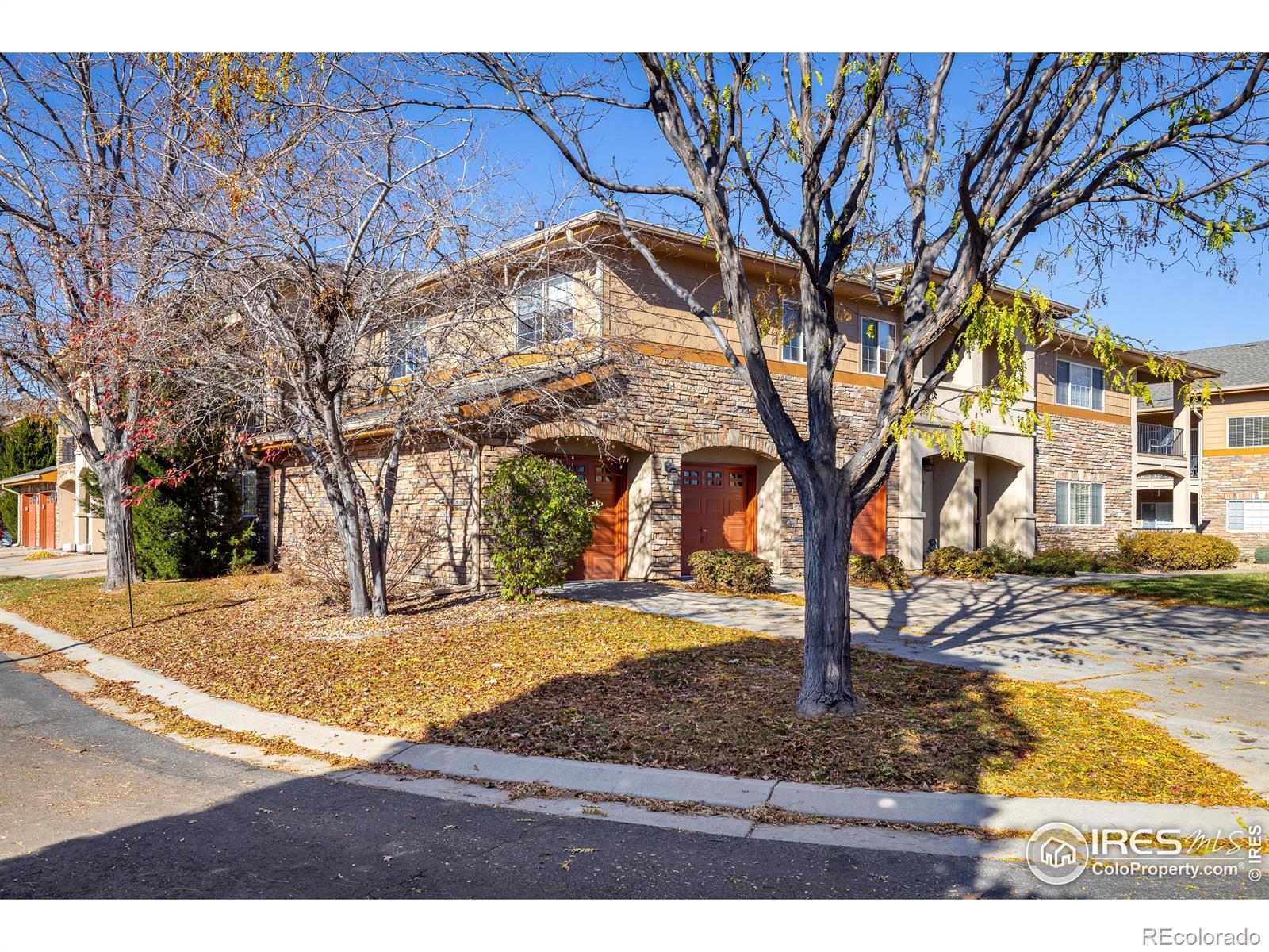 1703  Whitehall Drive, longmont  House Search MLS Picture