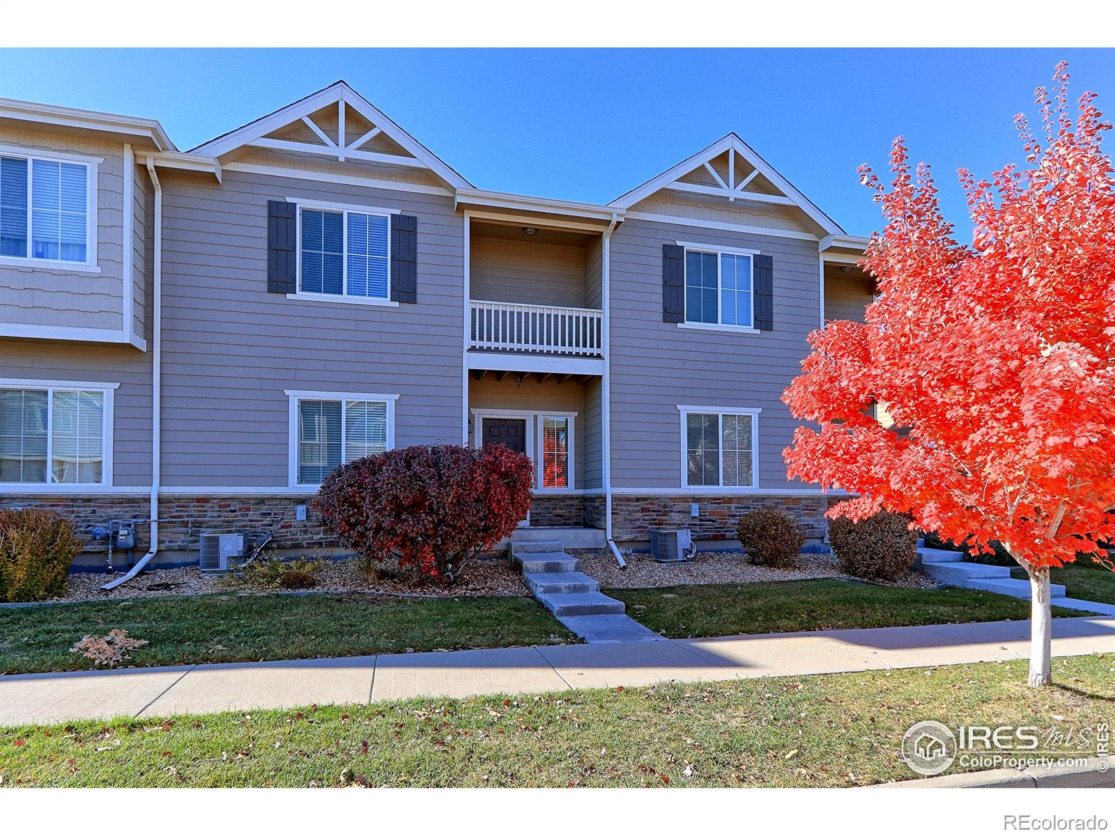 1221  Bistre Street, longmont  House Search MLS Picture