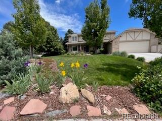 1324  Shadow Mountain Drive, highlands ranch  House Search MLS Picture