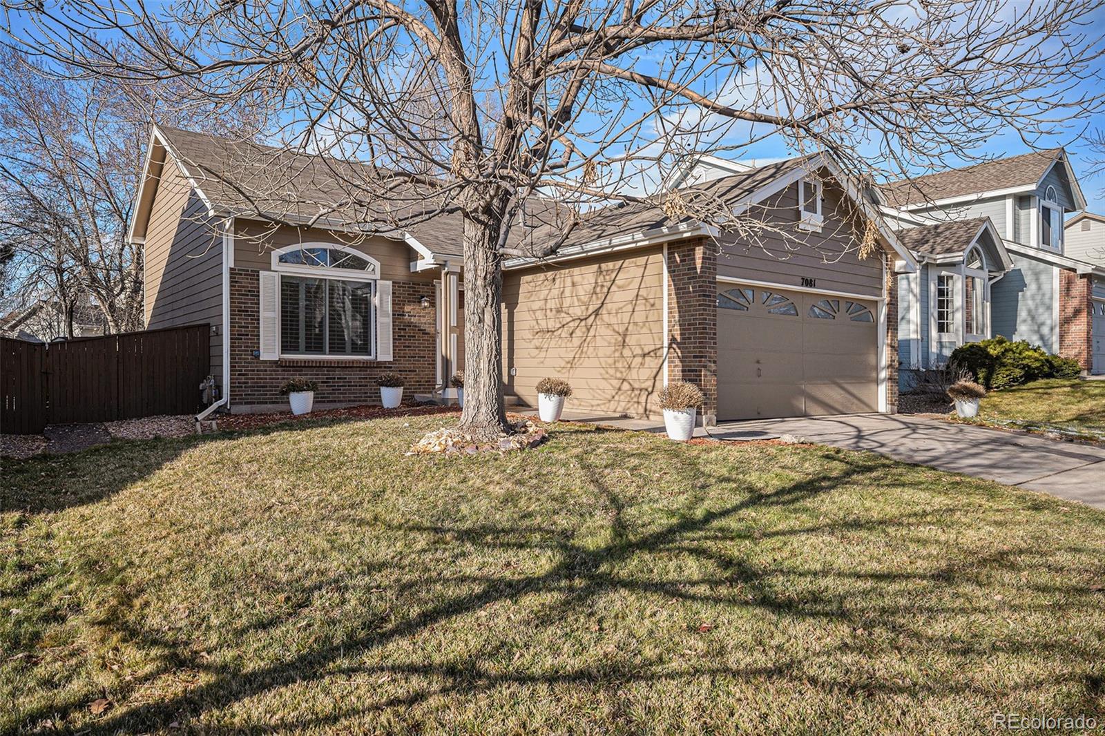 7081  Palisade Drive, highlands ranch  House Search MLS Picture