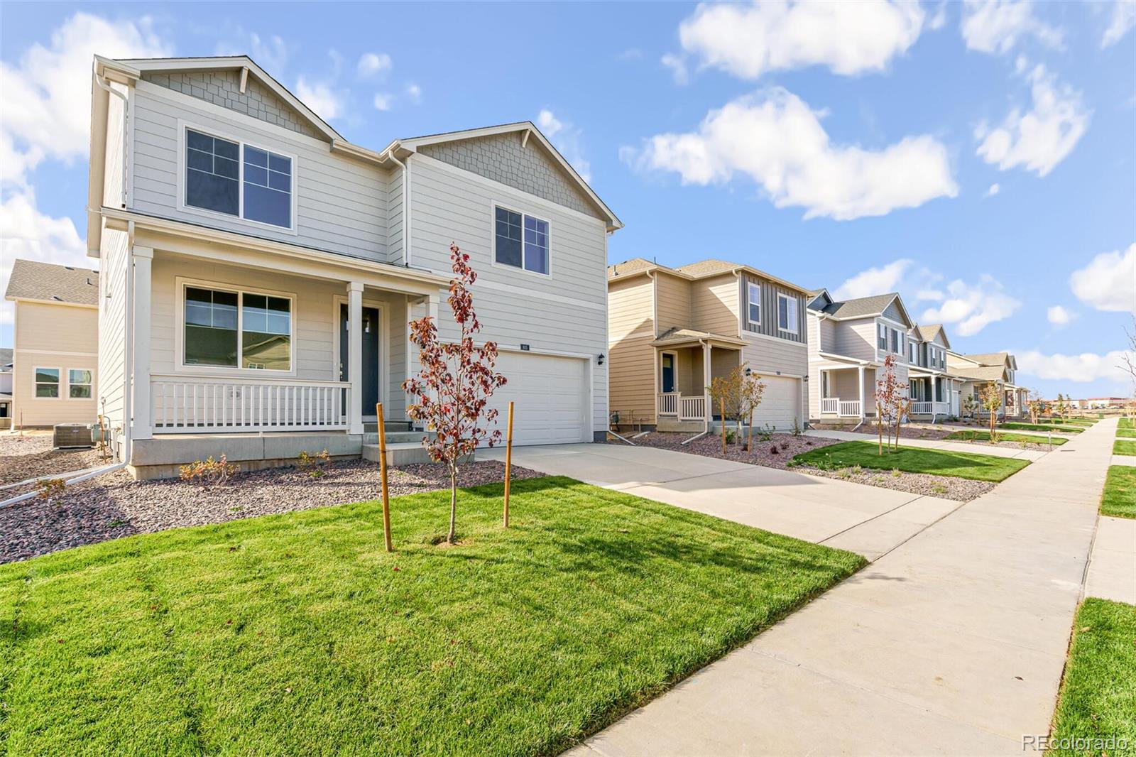 4354  Cattle Cross Trail, castle rock  House Search MLS Picture